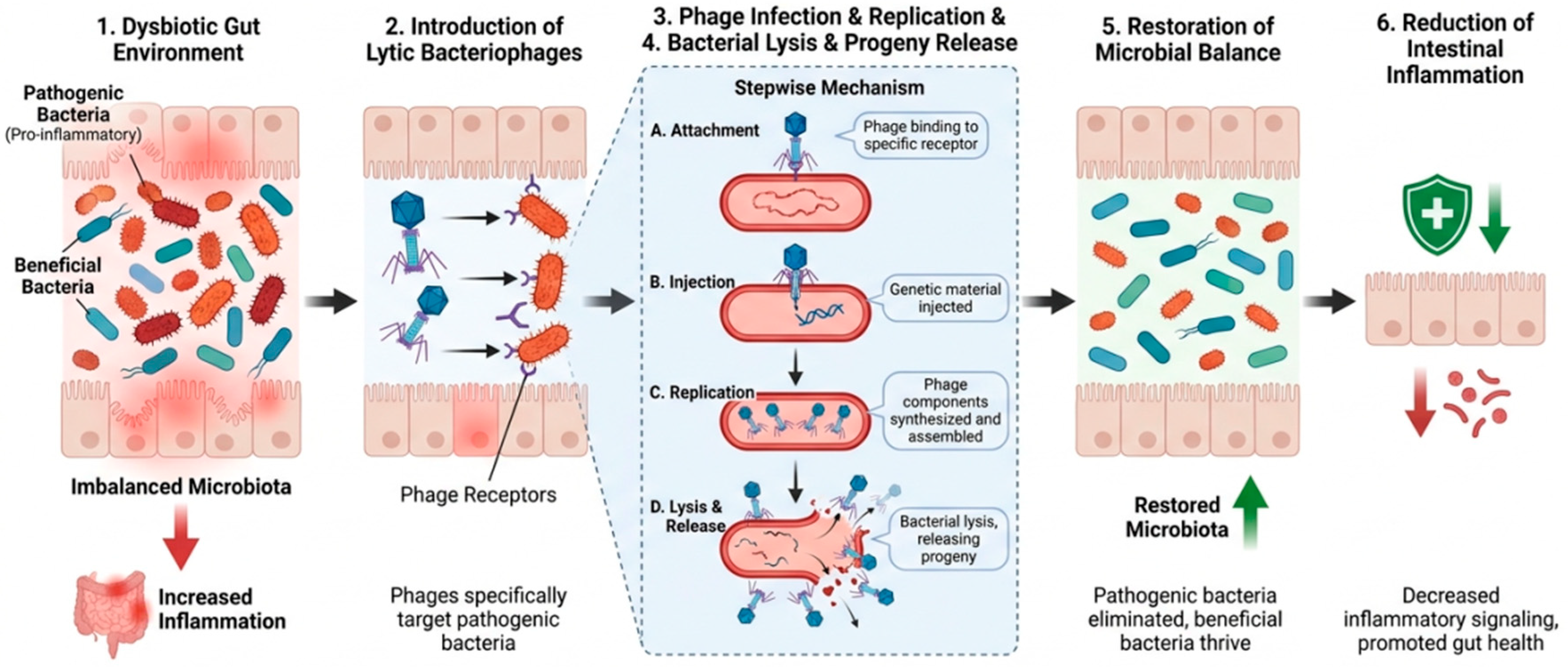 Antibiotics 15 00964 g005 Antibiotics 15 00964 g005
