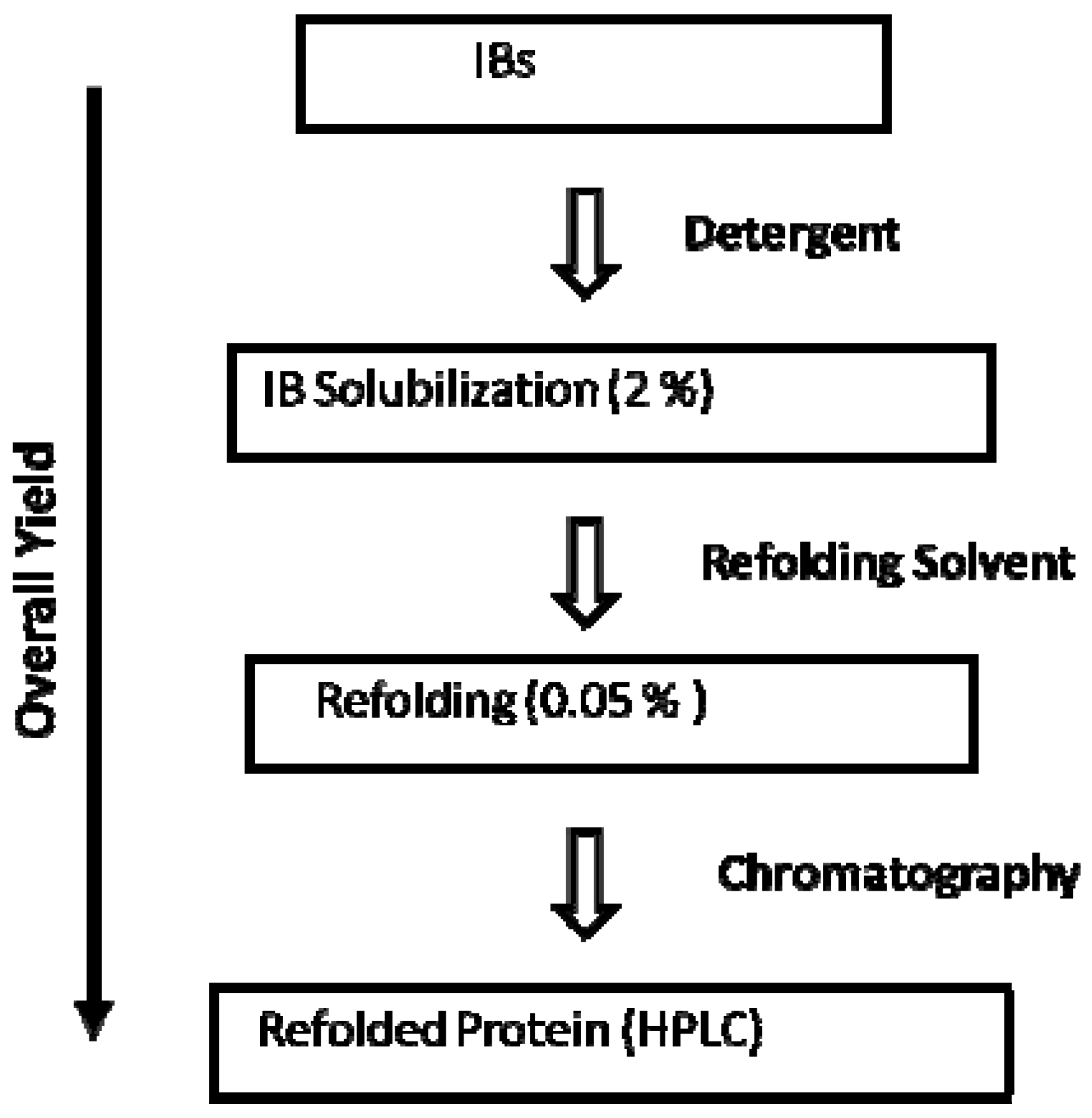 Antibodies 01 00215 g002 1024