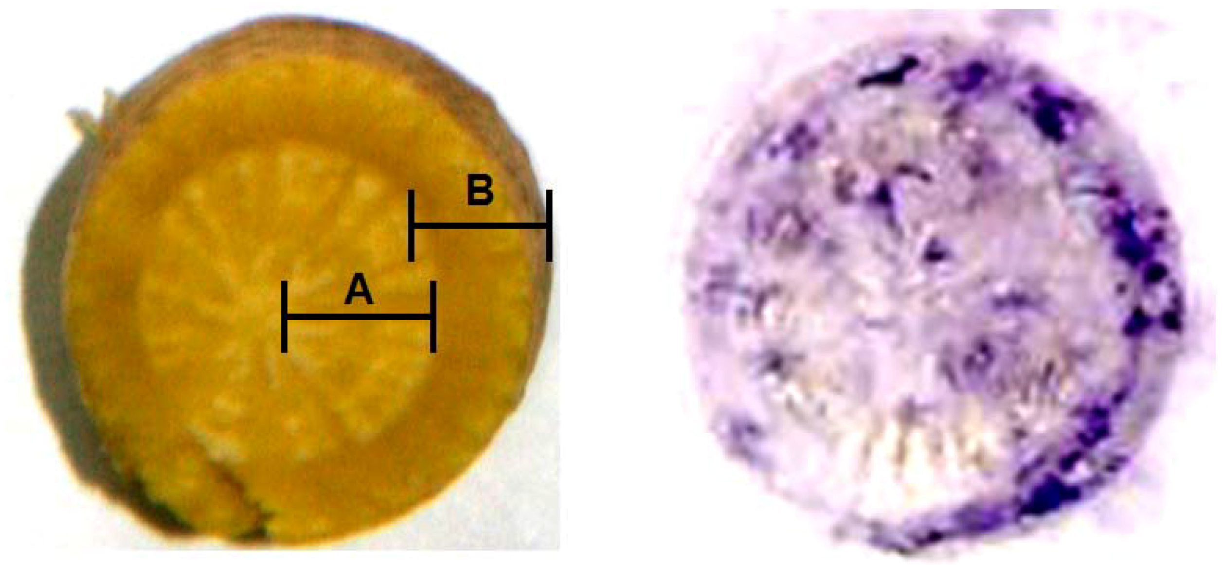 Antibodies 01 00284 g007