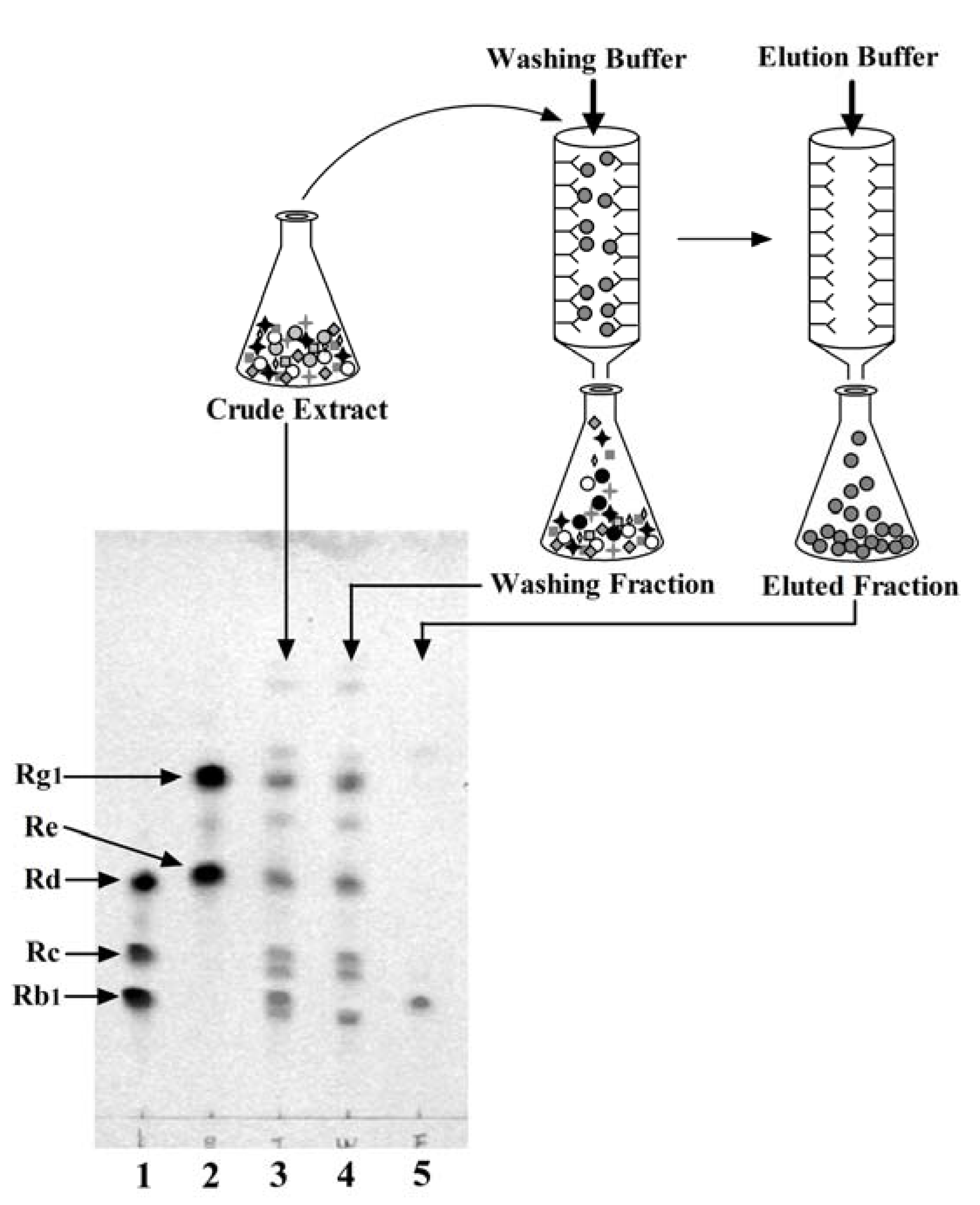 Antibodies 01 00294 g004 1024