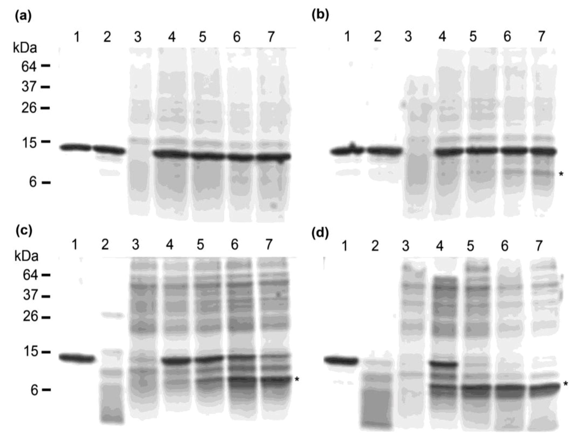 Antibodies 02 00066 g005