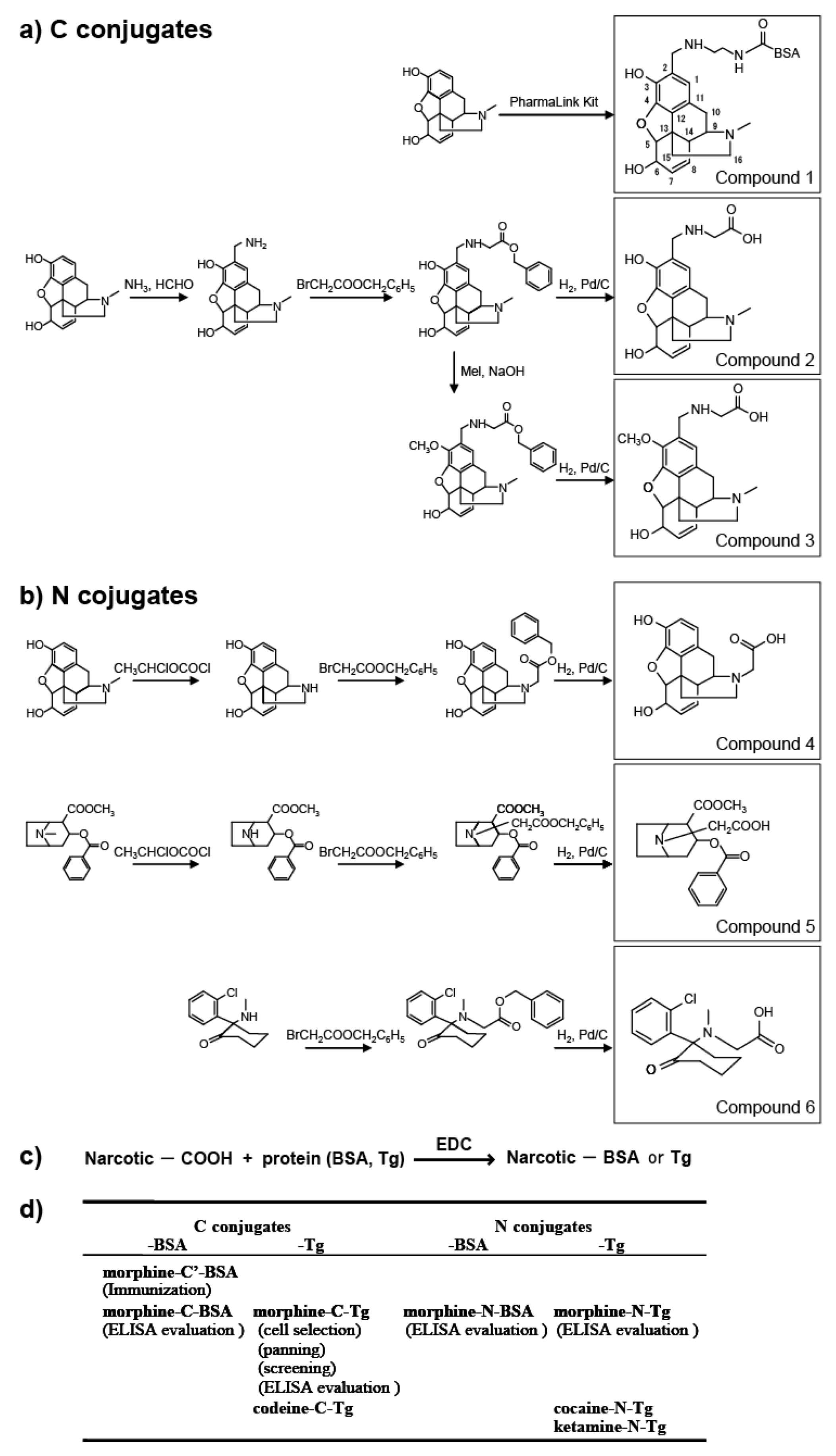 Antibodies 02 00093 g001 1024