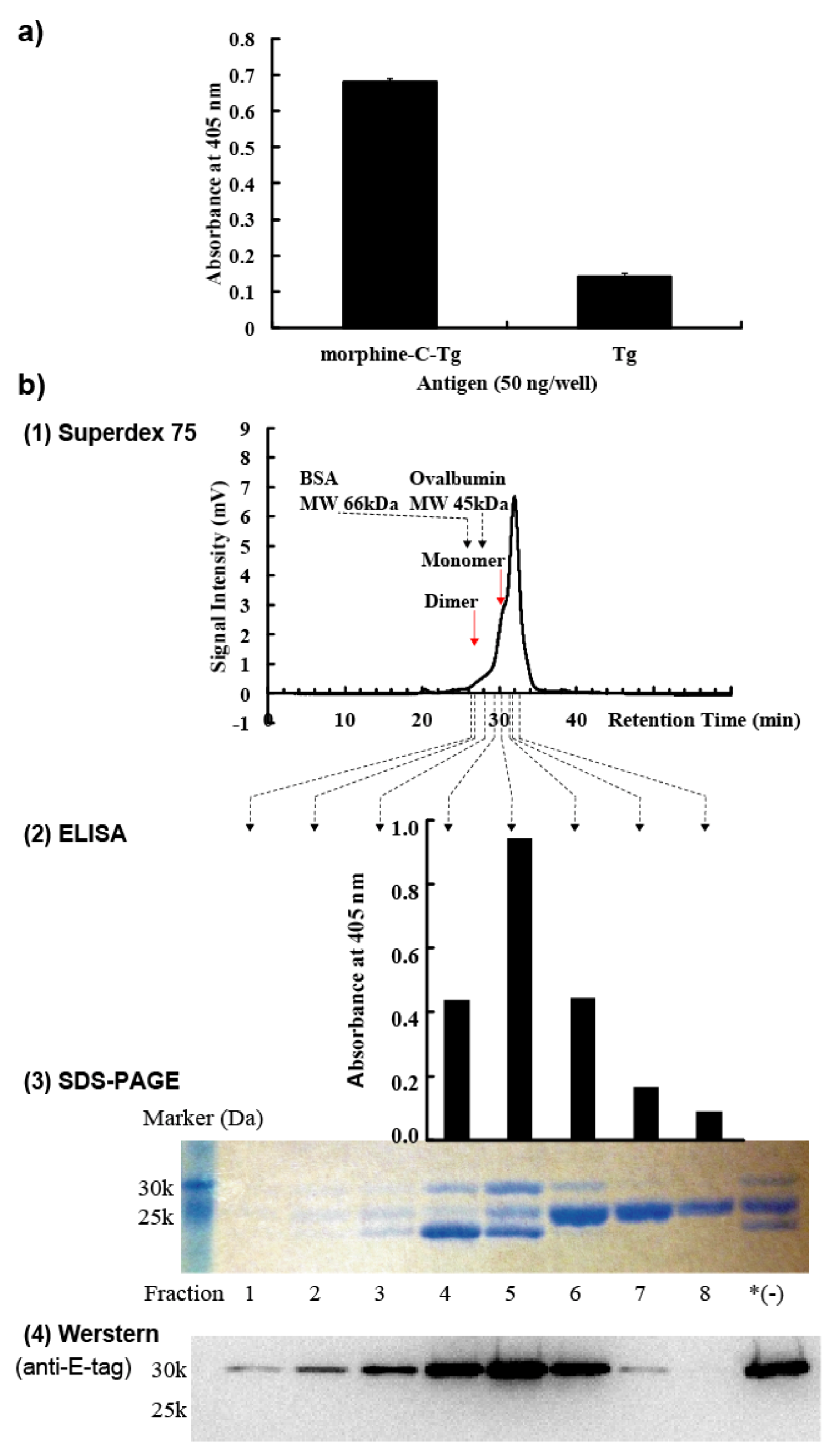 Antibodies 02 00093 g002 1024