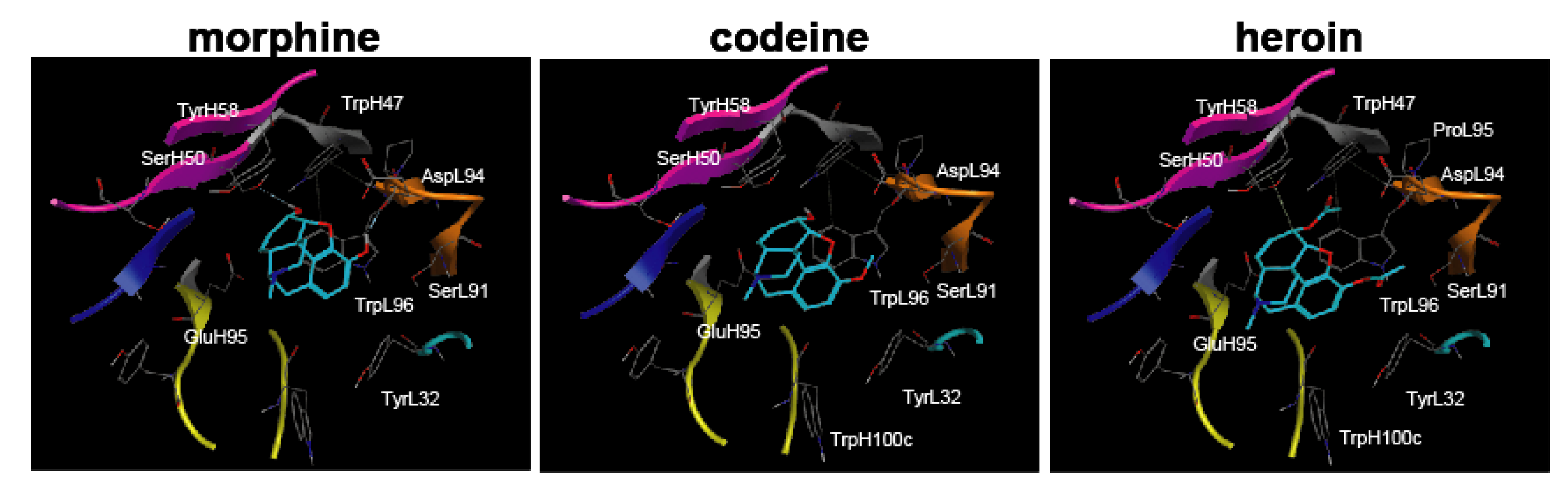 Antibodies 02 00093 g009 1024