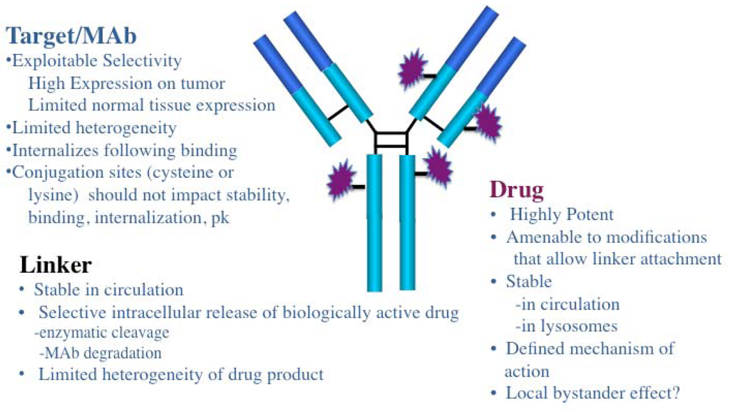 Antibodies Free FullText Antibody Drug Conjugates as Cancer