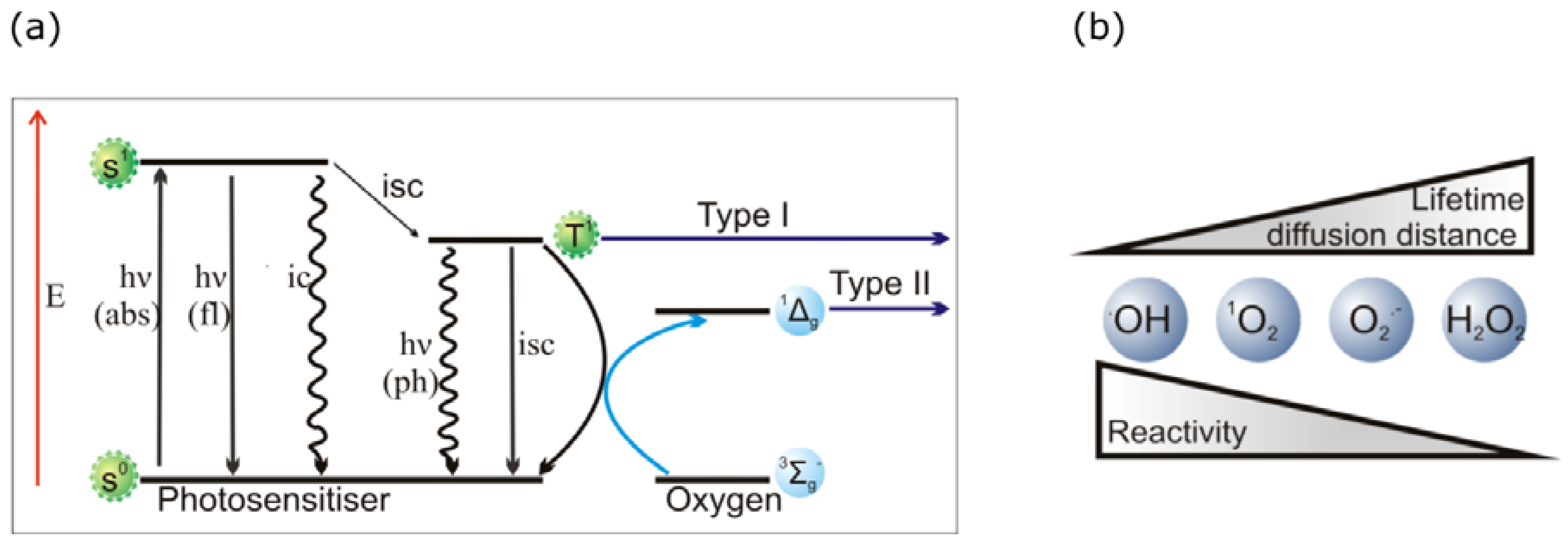 Antibodies 02 00270 g004