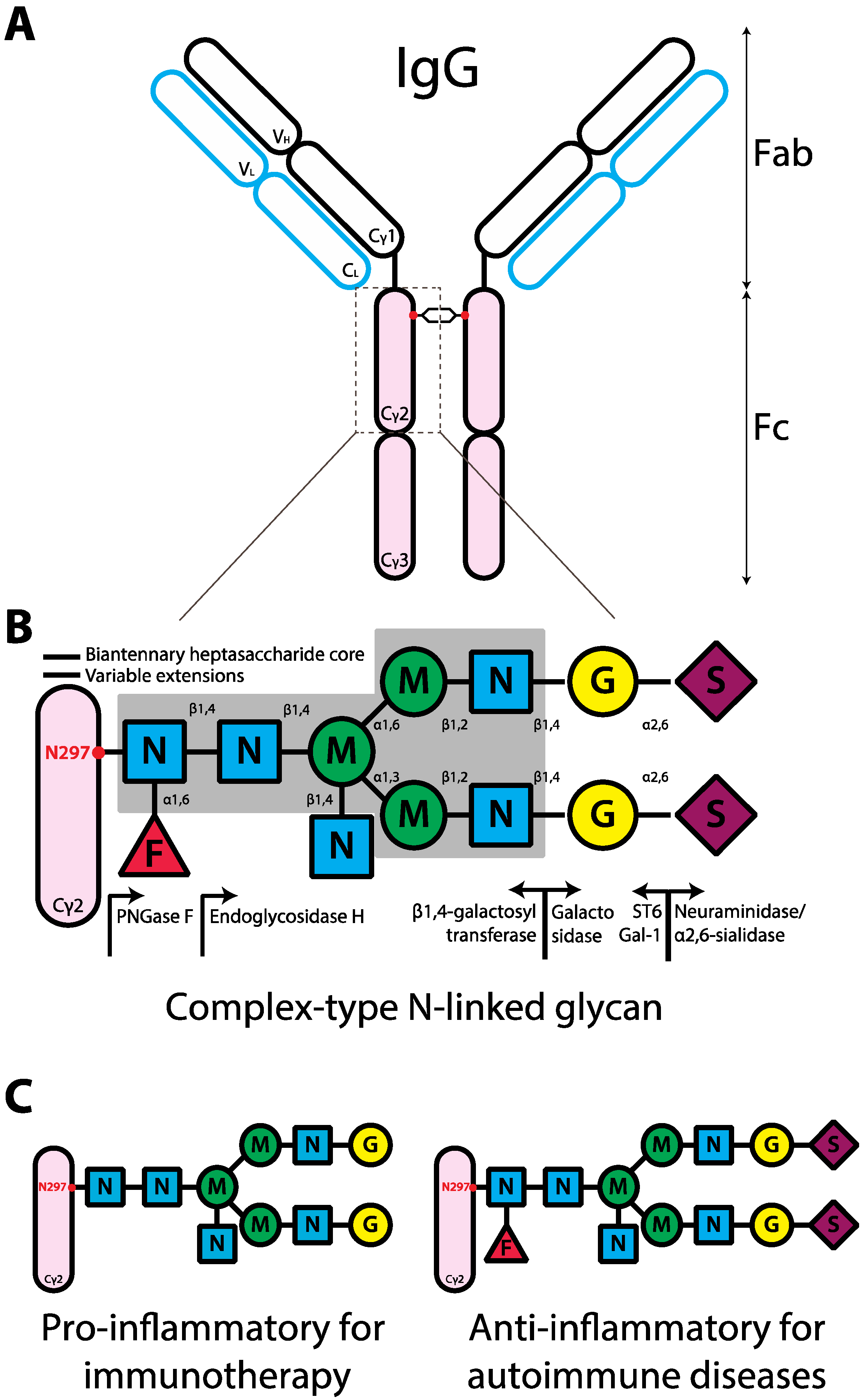 Impact of anti-CD20 monoclonal antibodies on serologic response to