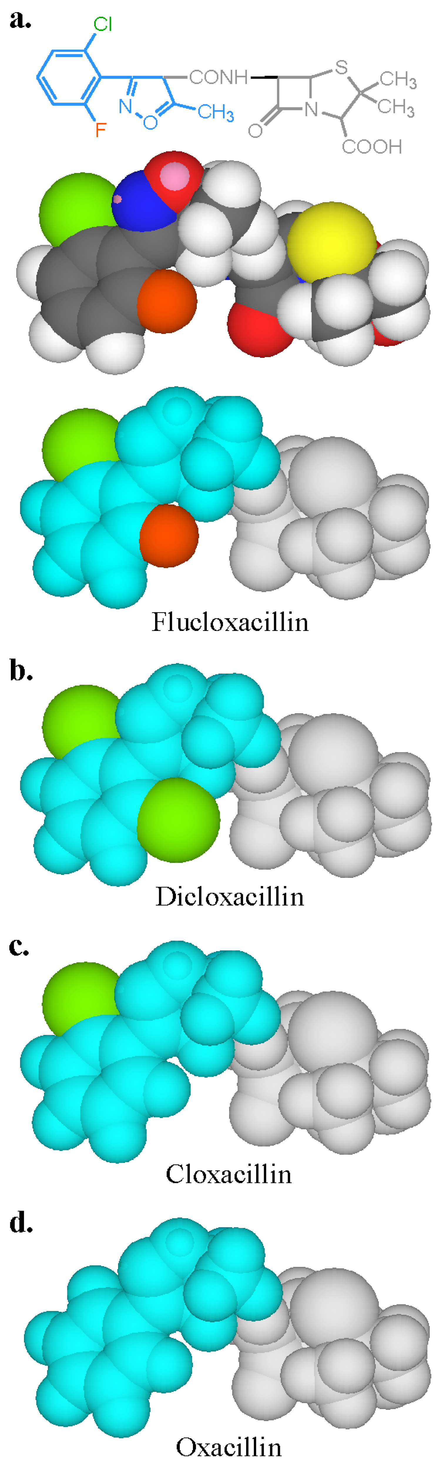 Antibodies 03 00056 g006
