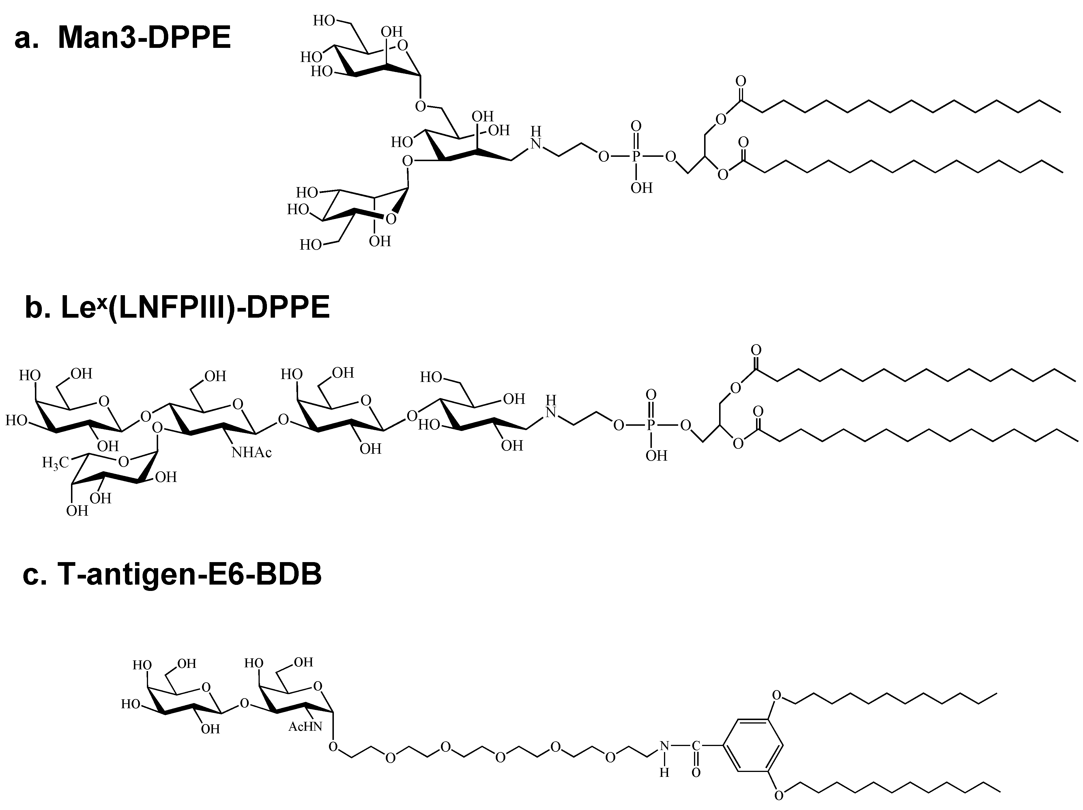 Antibodies 03 00155 g001 1024
