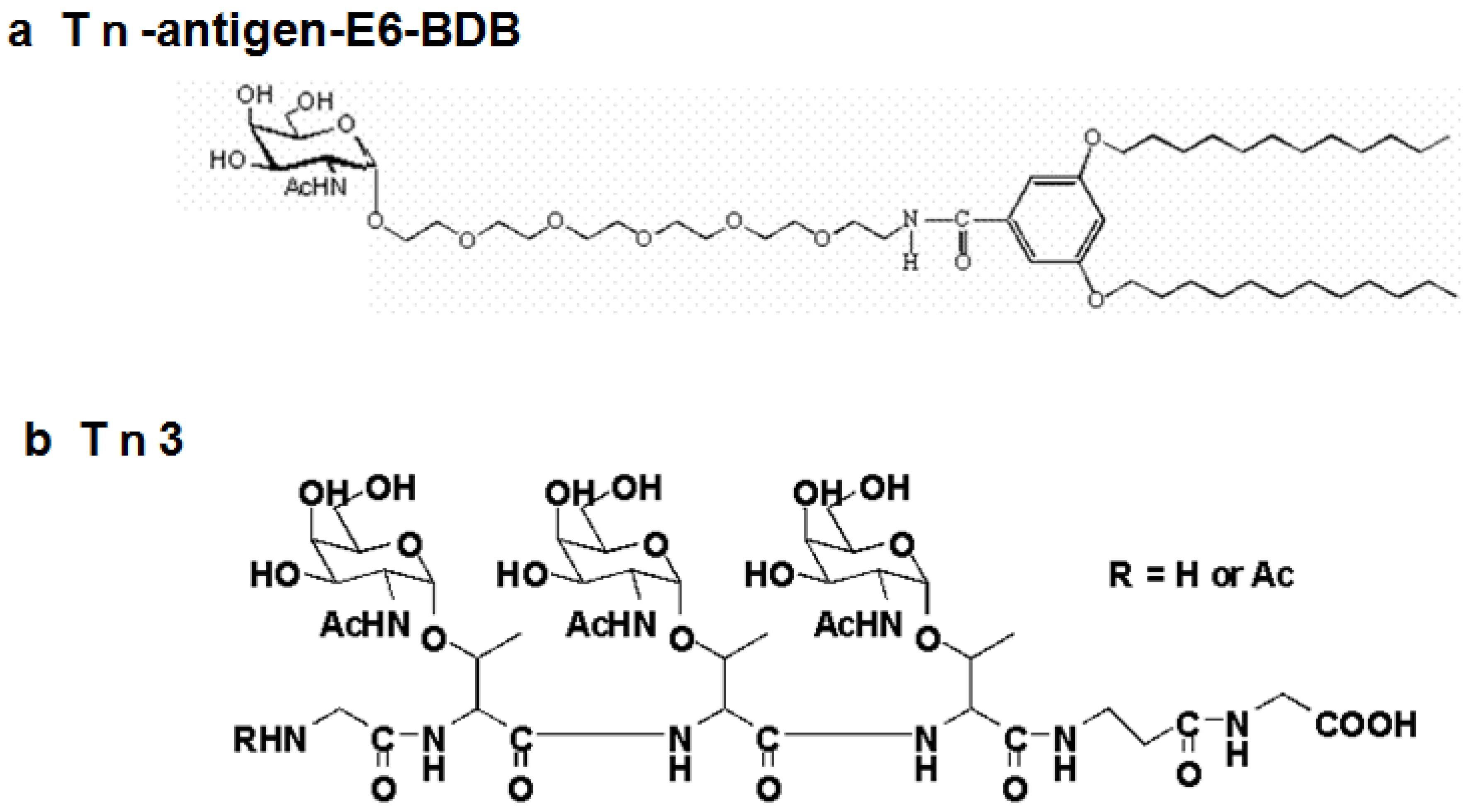 Antibodies 03 00155 g002 1024