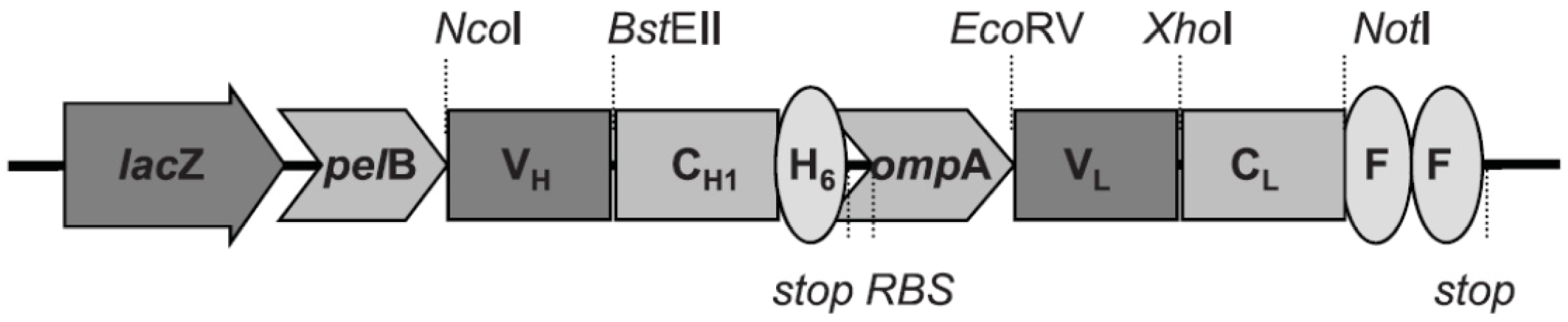 Antibodies 03 00215 g004