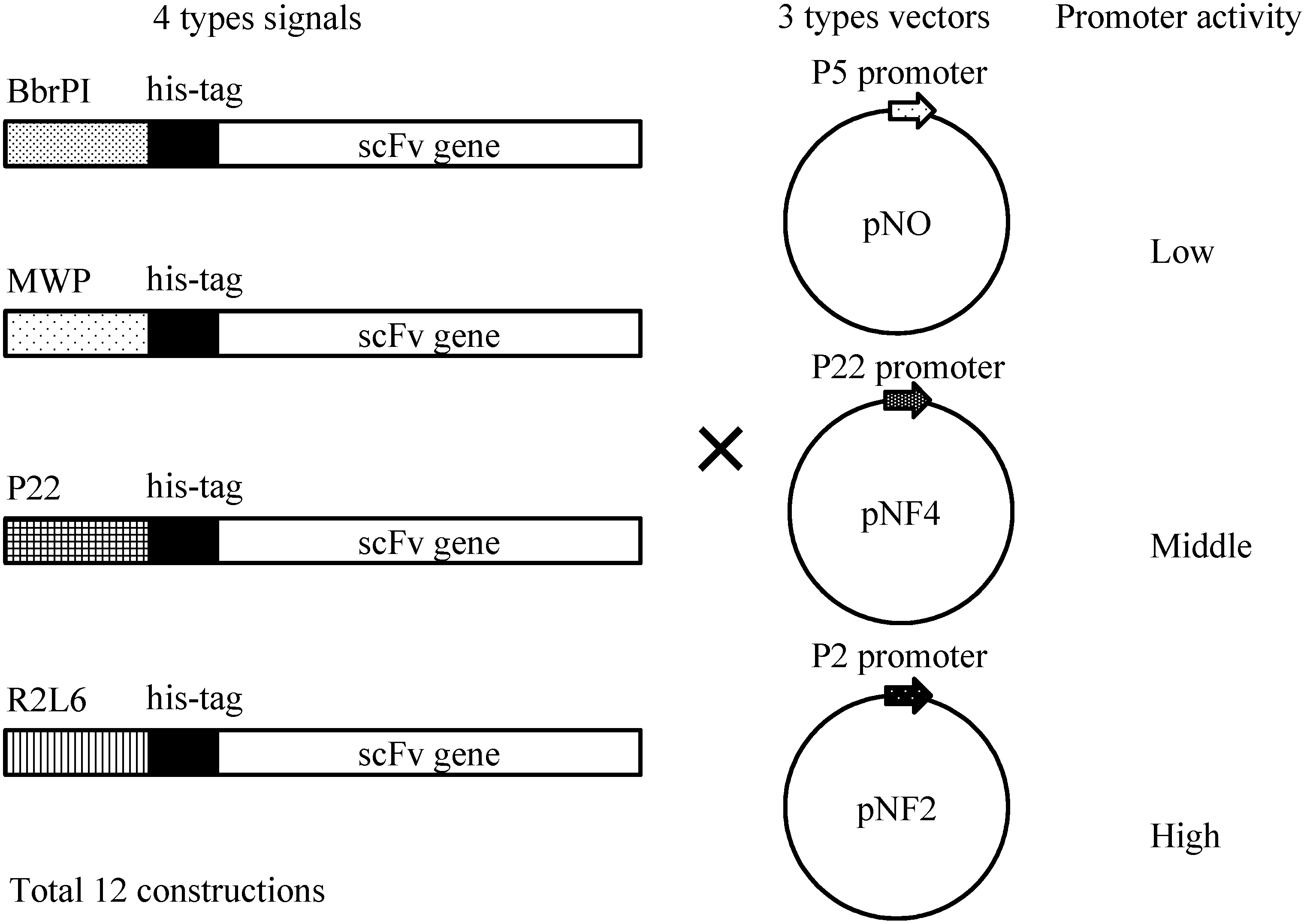 Antibodies 03 00242 g004 550