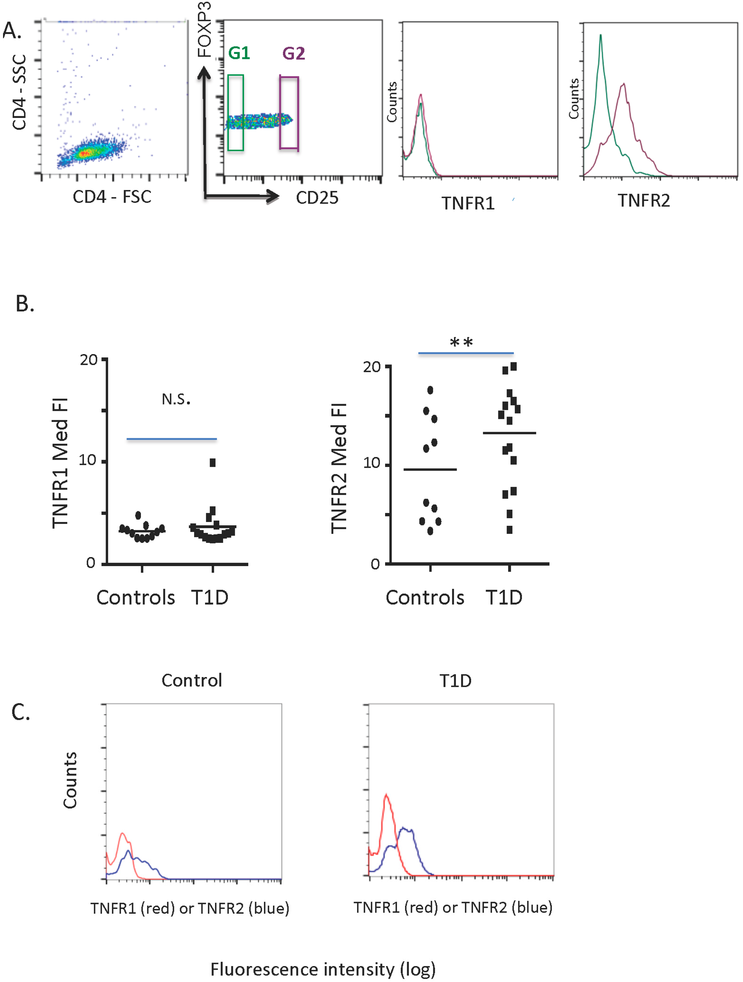 Antibodies 04 00034 g001