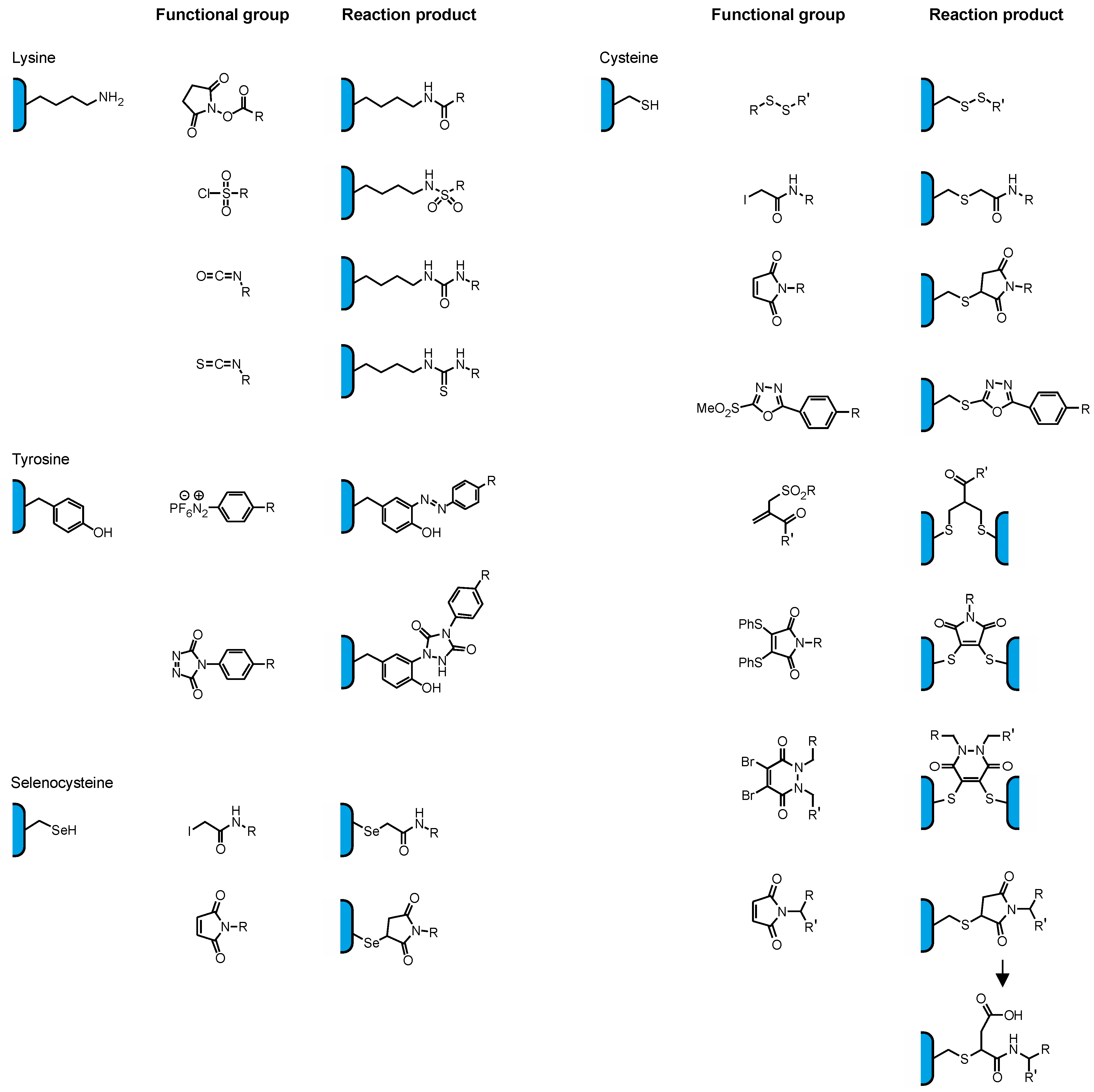 Antibodies 04 00197 g002
