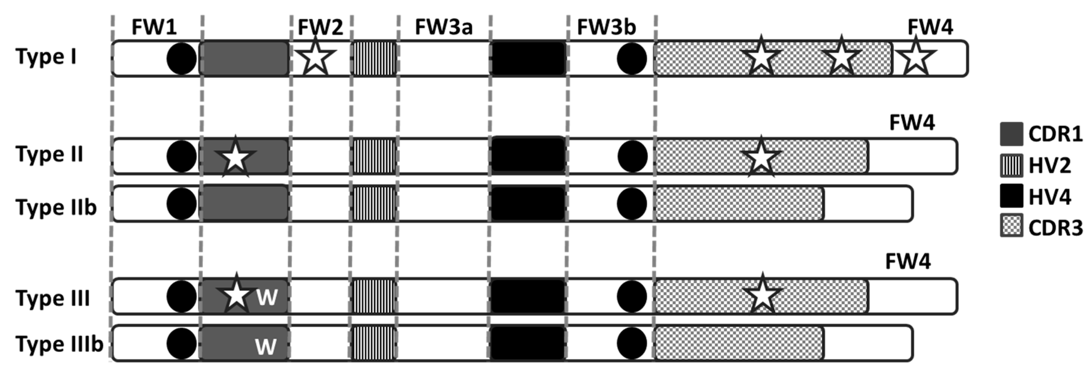 Antibodies 04 00240 g002