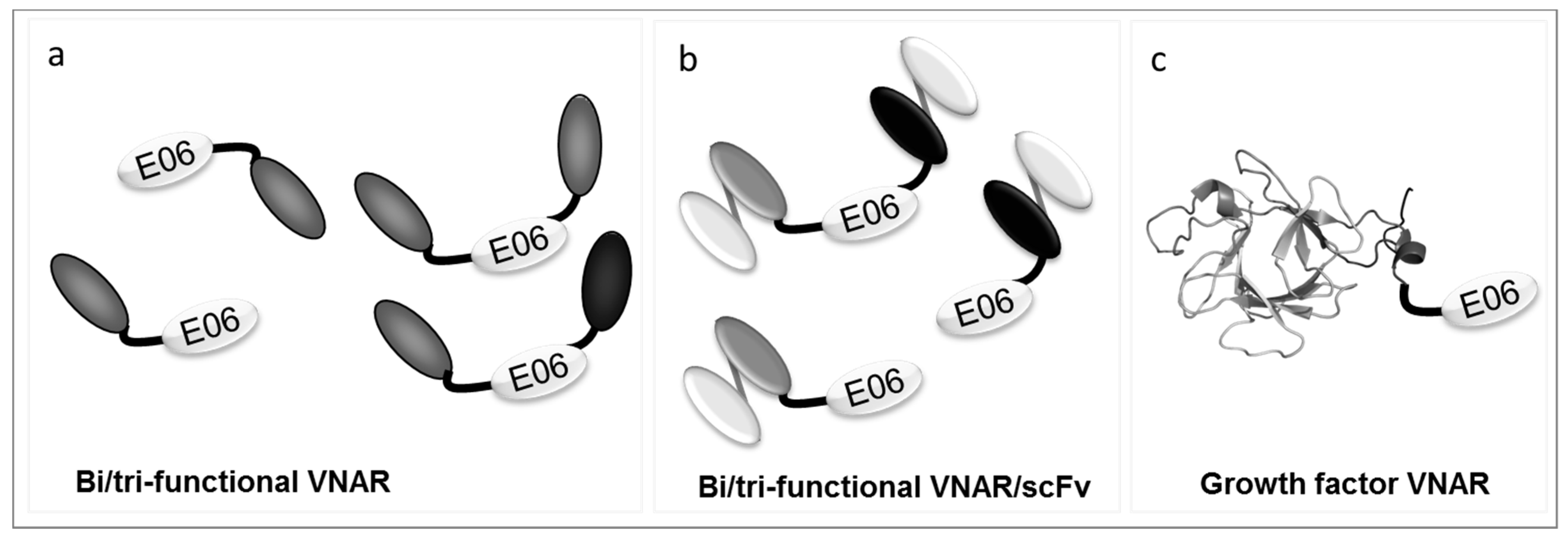 Antibodies 04 00240 g003