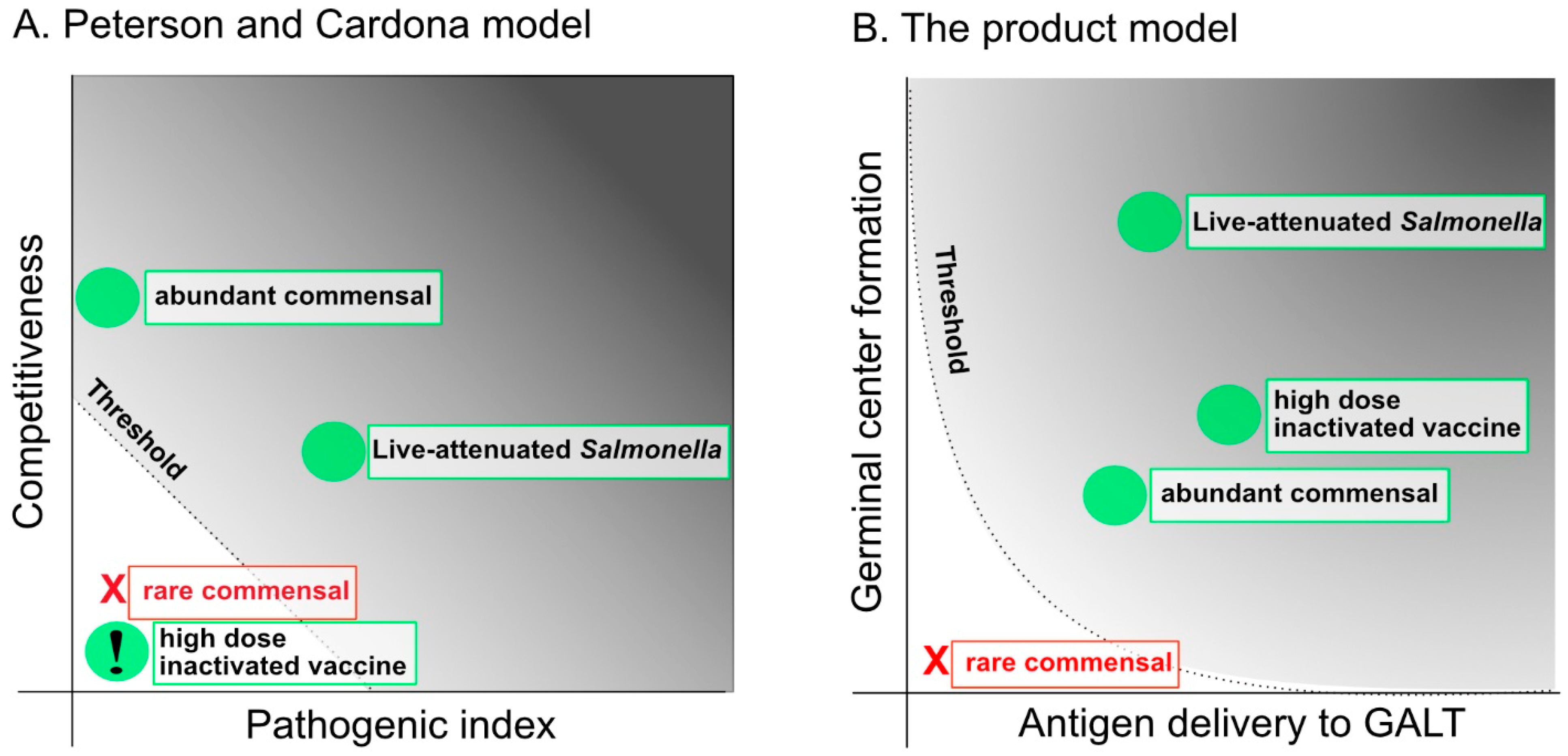 Antibodies 04 00295 g001