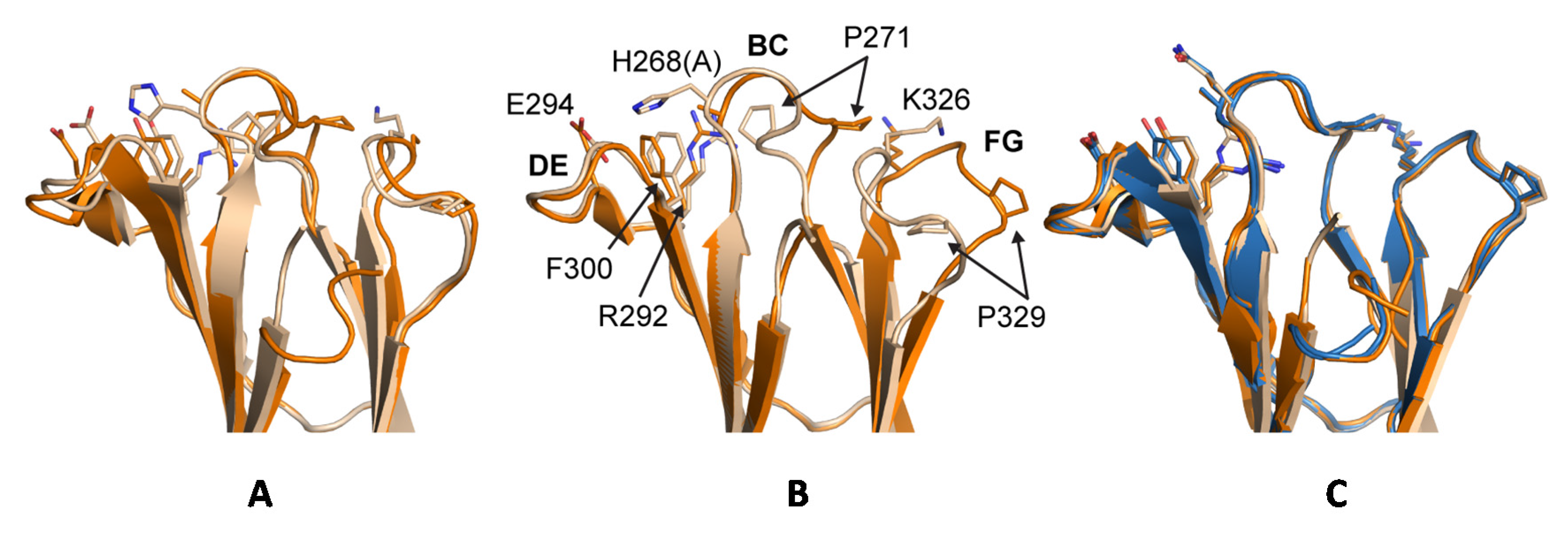 Antibodies 06 00012 g013 550