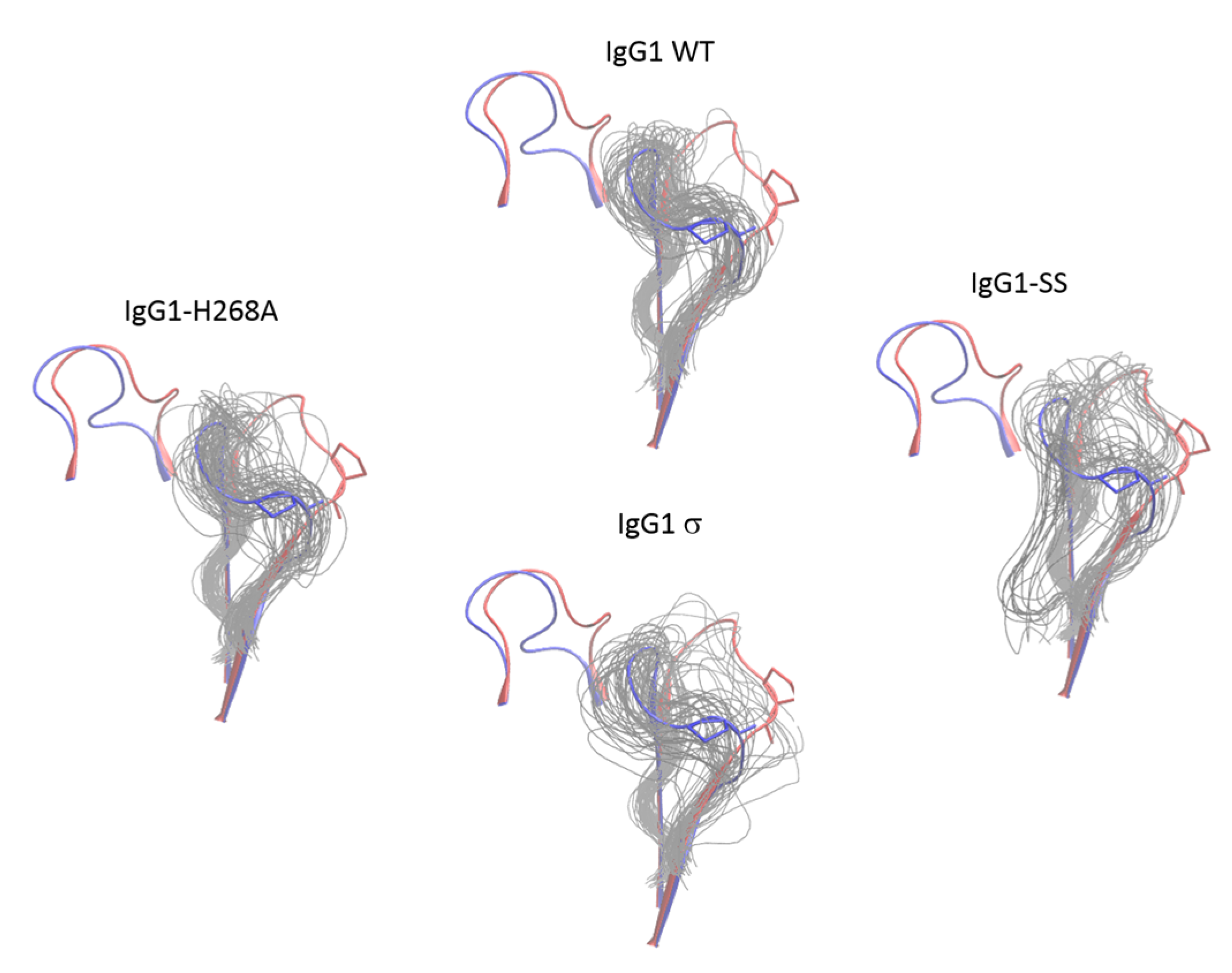 Antibodies 06 00012 g015 550