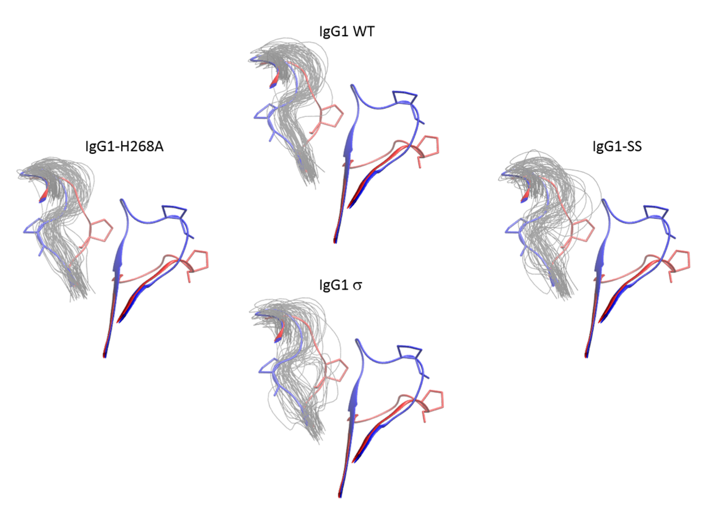 Antibodies 06 00012 g016 550