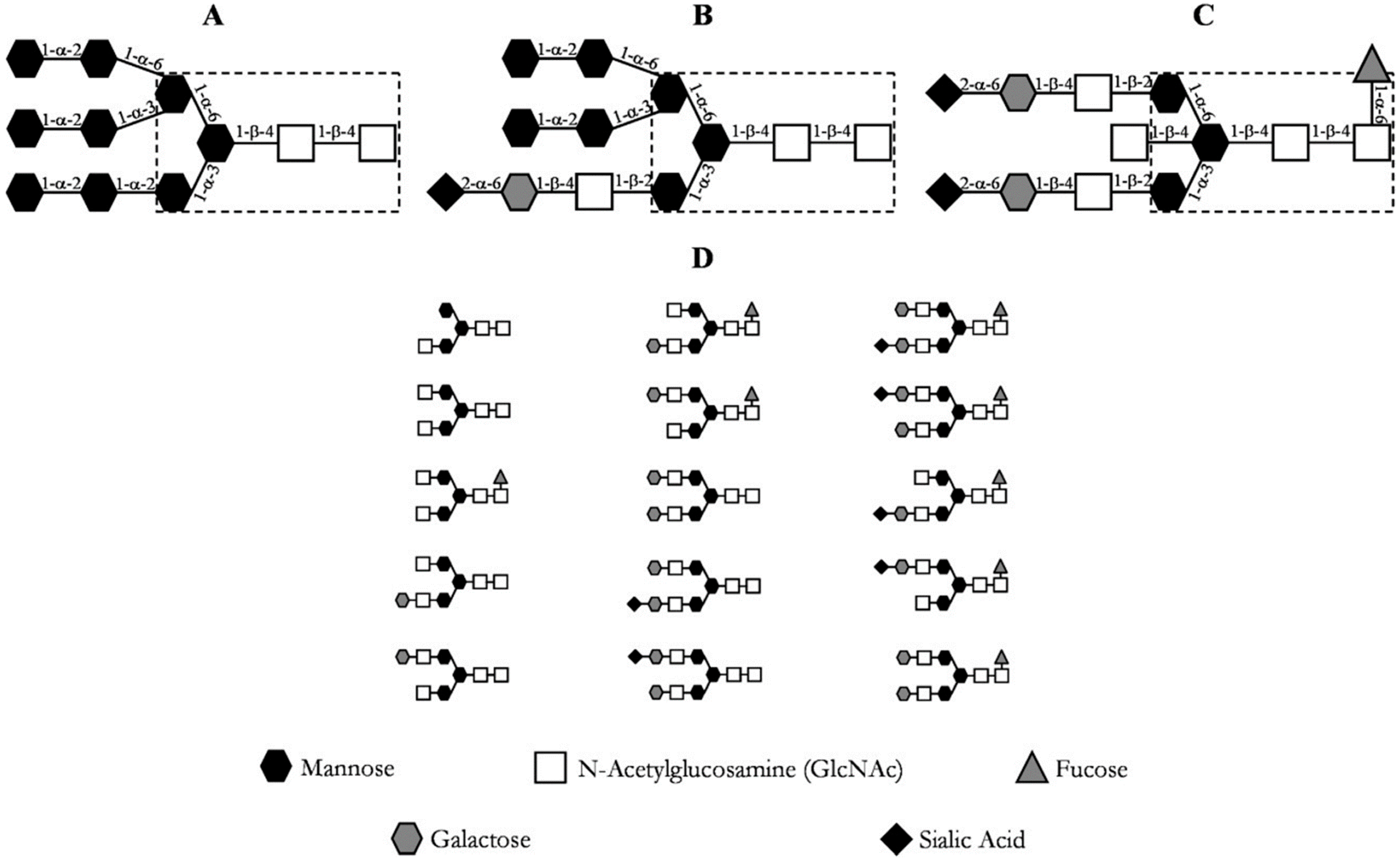 Antibodies 06 00013 g003