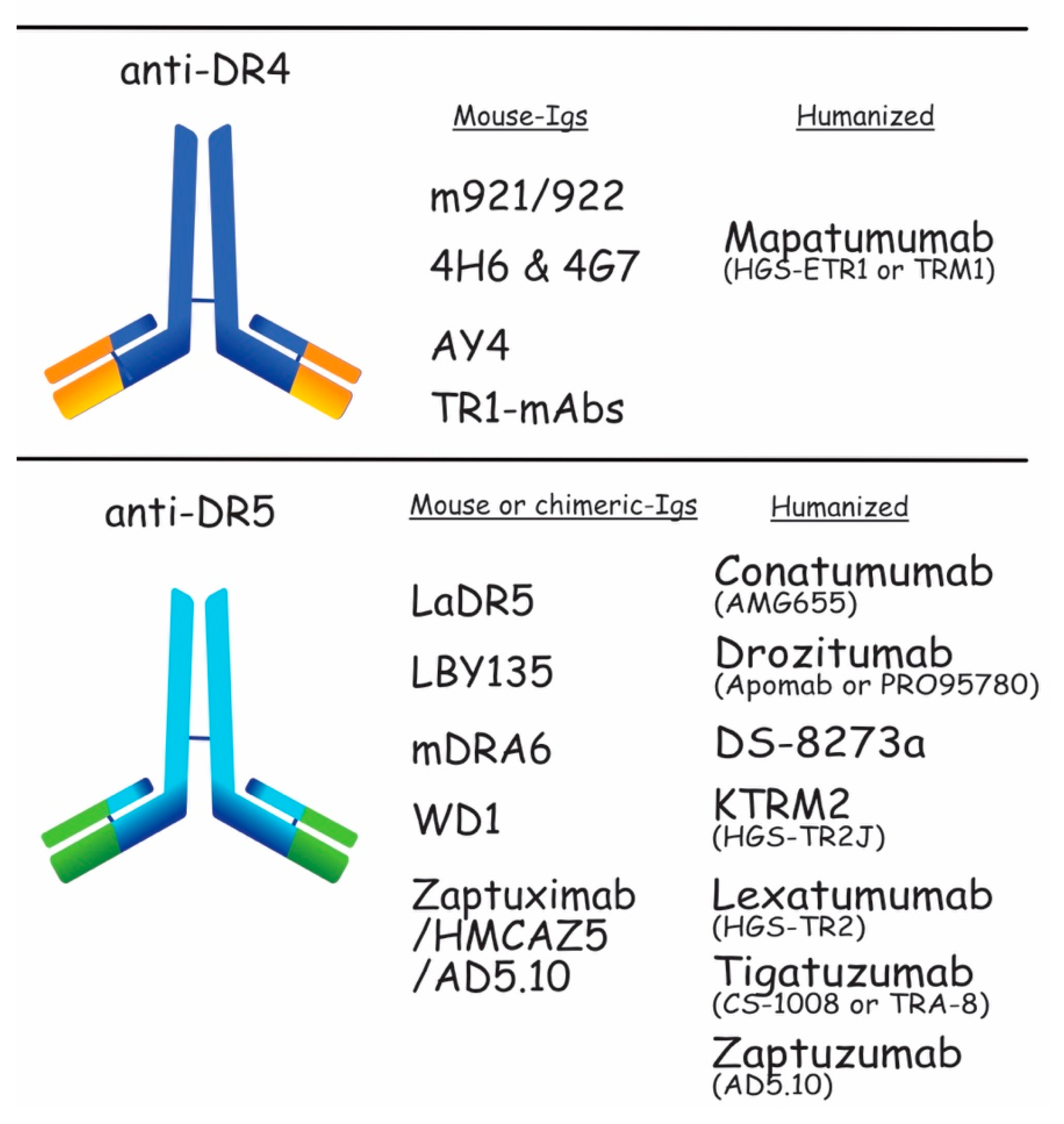 Antibodies 06 00016 g005 Antibodies 06 00016 g005