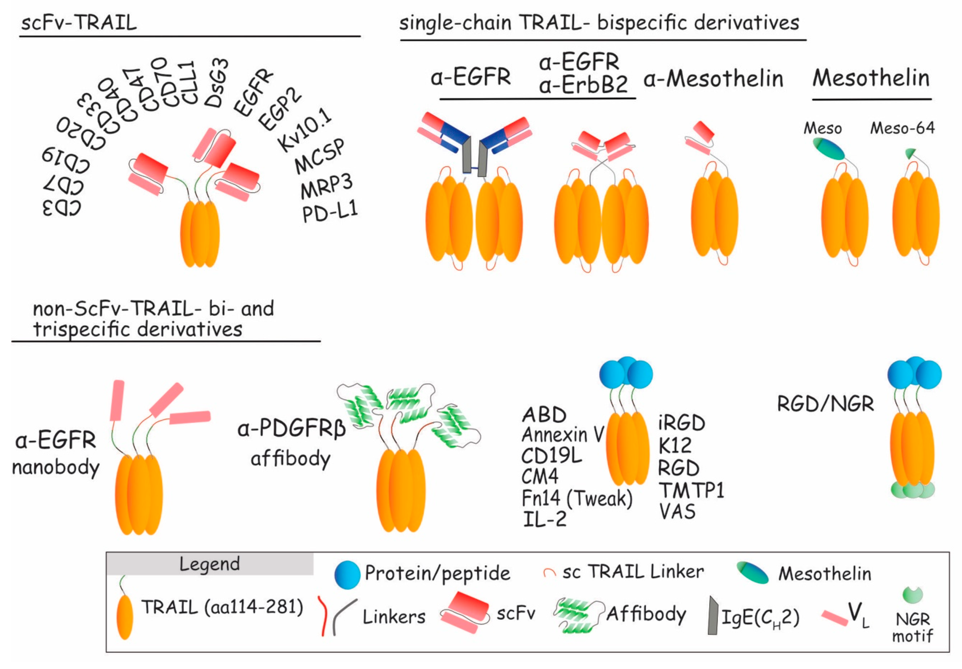 Antibodies 06 00016 g007 Antibodies 06 00016 g007