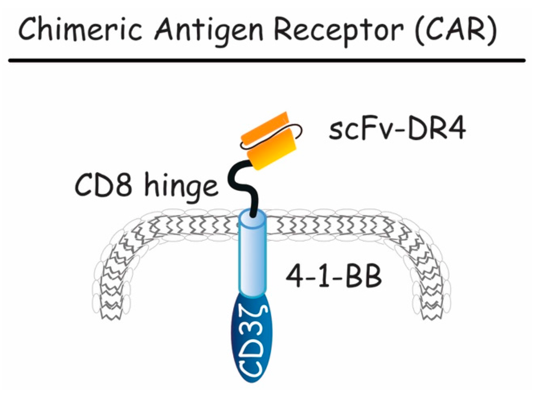 Antibodies 06 00016 g009 Antibodies 06 00016 g009