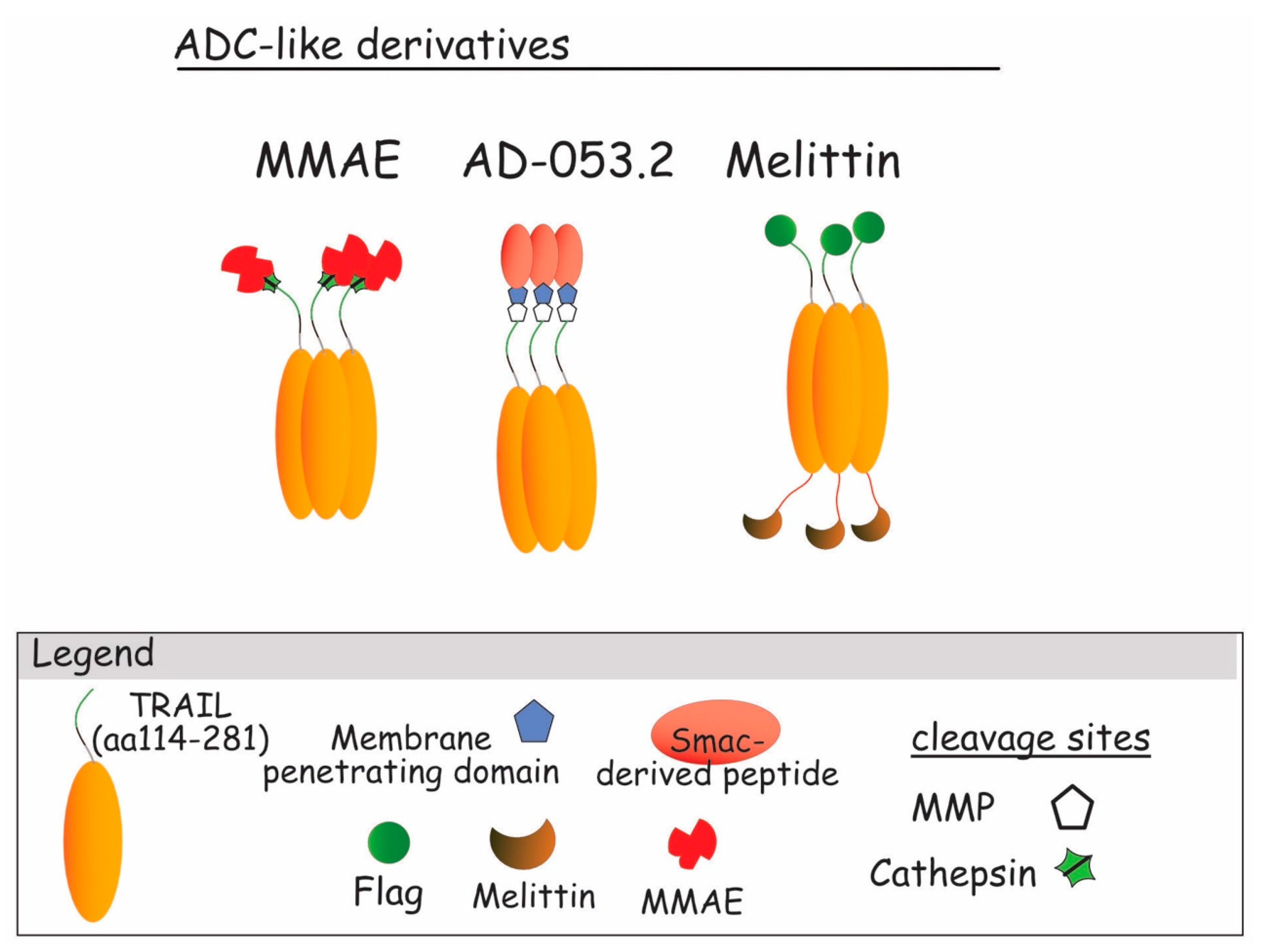 Antibodies 06 00016 g010 Antibodies 06 00016 g010