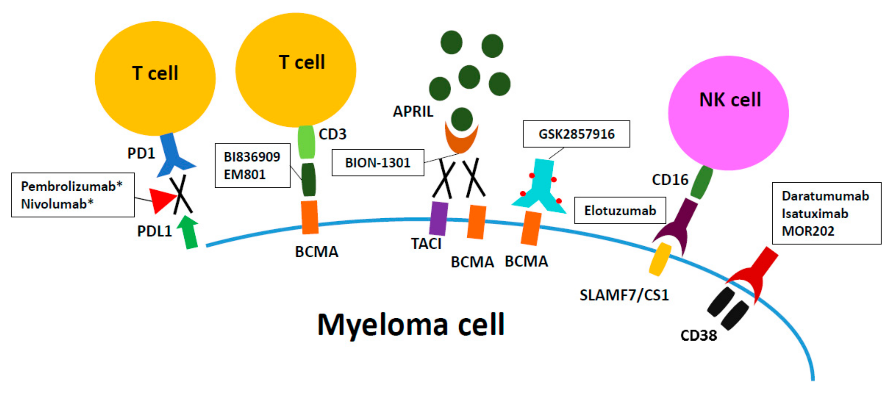 Antibodies | Free Full-Text | Monoclonal Antibody: A New ...