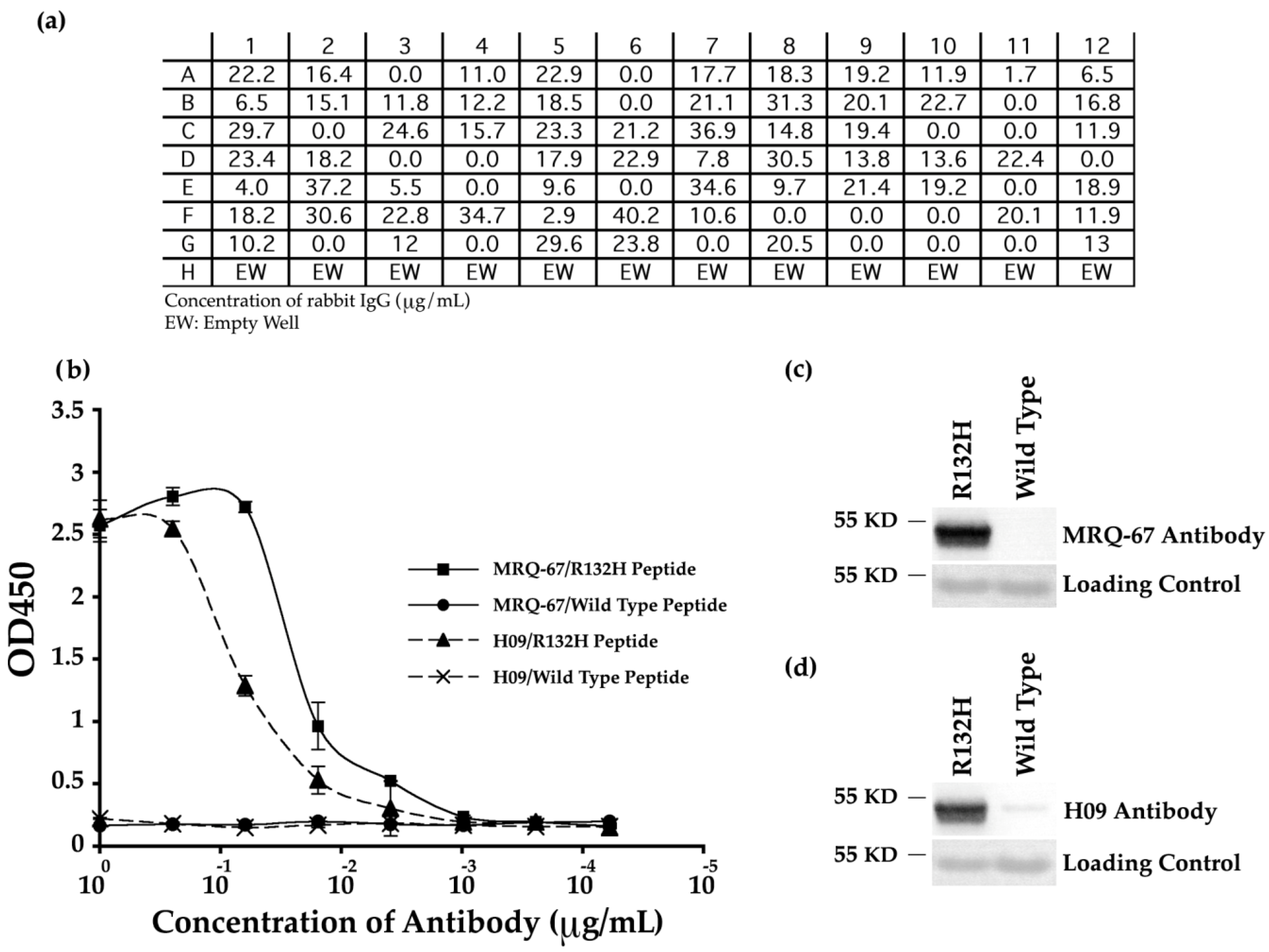 Antibodies 06 00022 g001