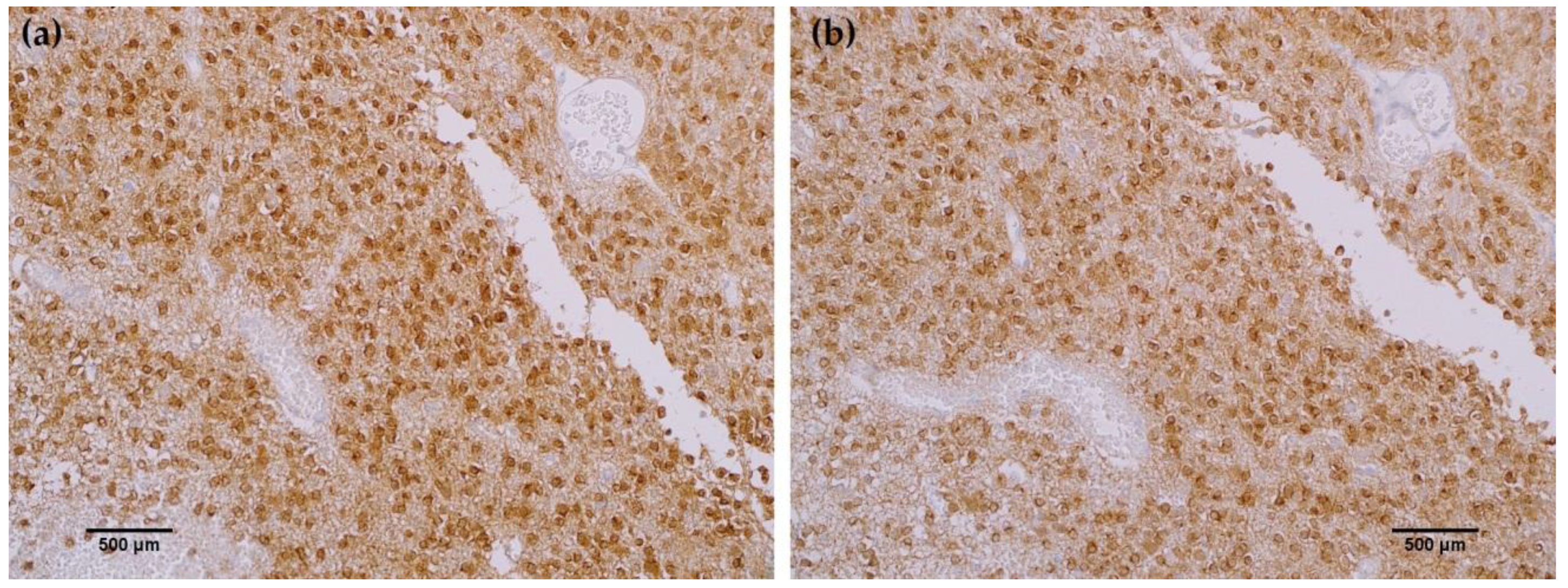 Antibodies 06 00022 g003