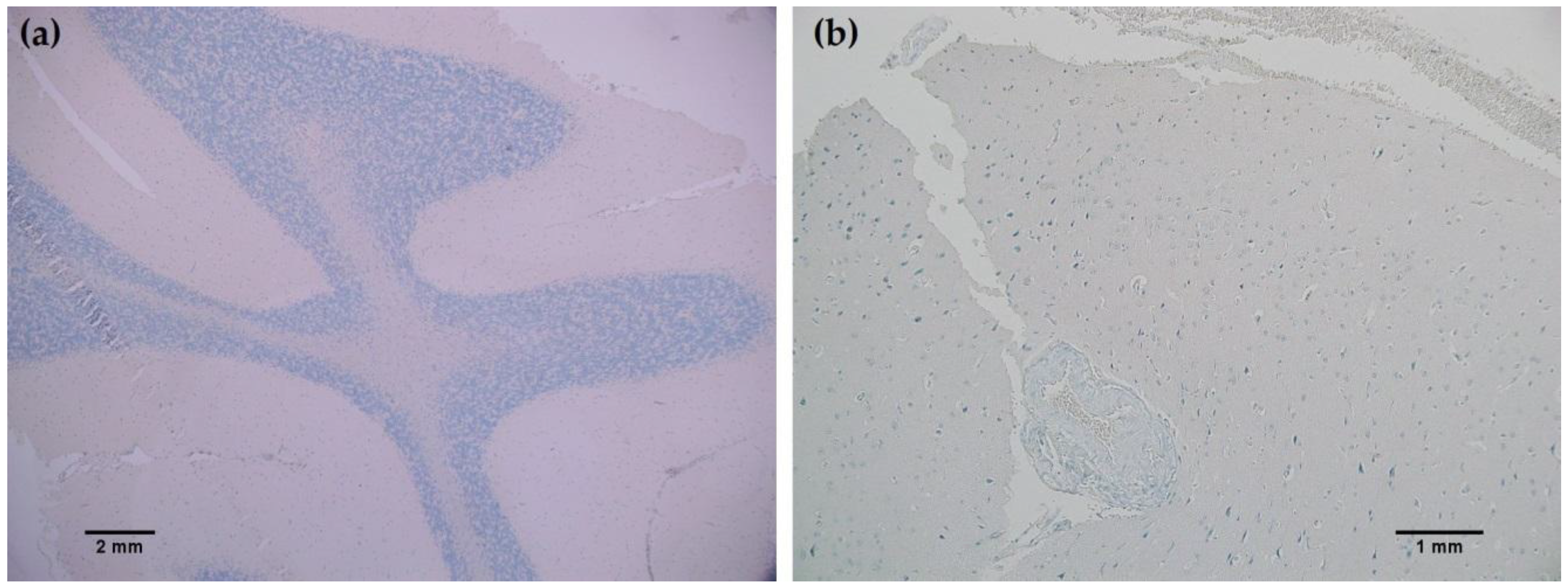 Antibodies 06 00022 g005