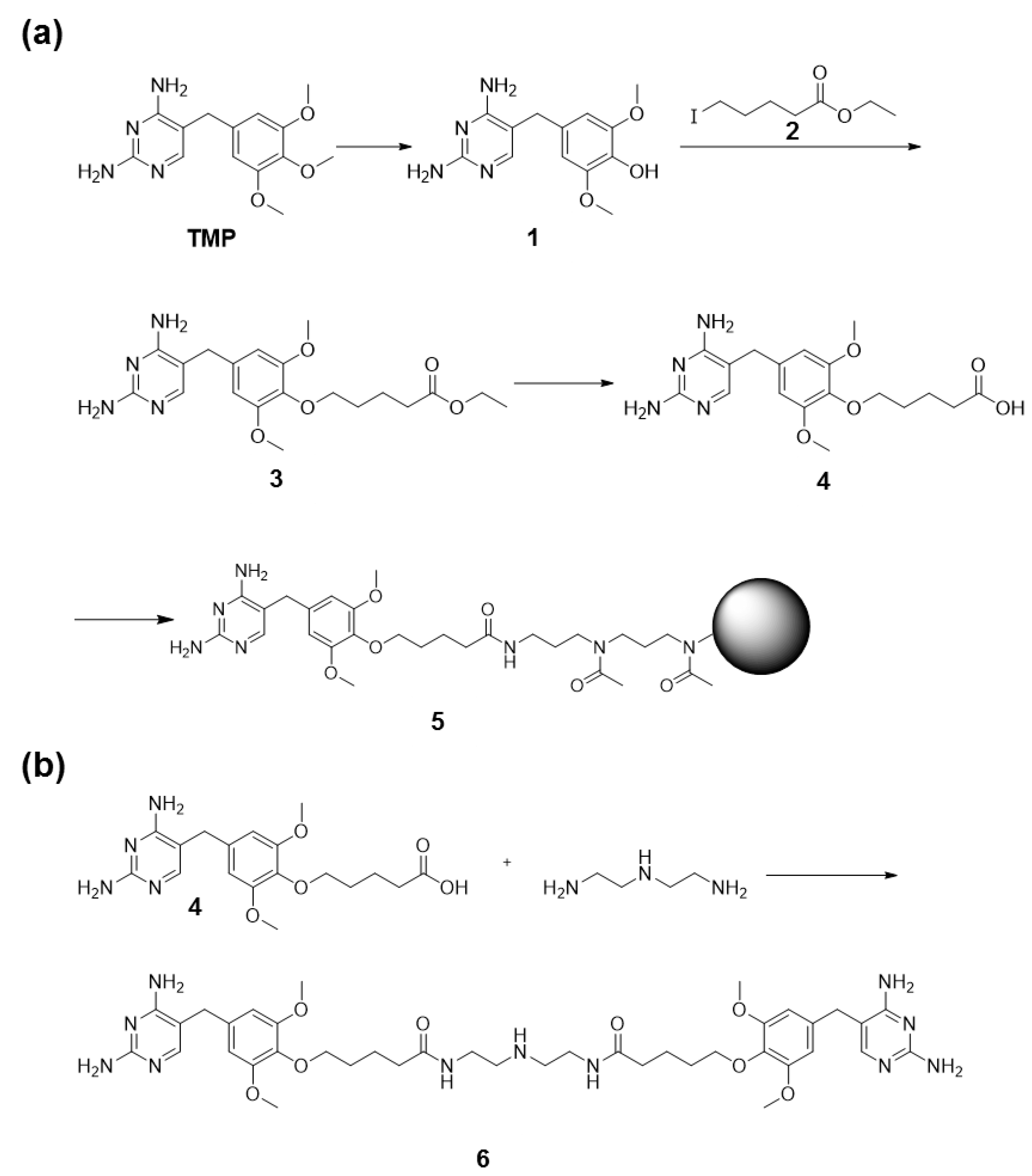 Antibodies 06 00023 g002