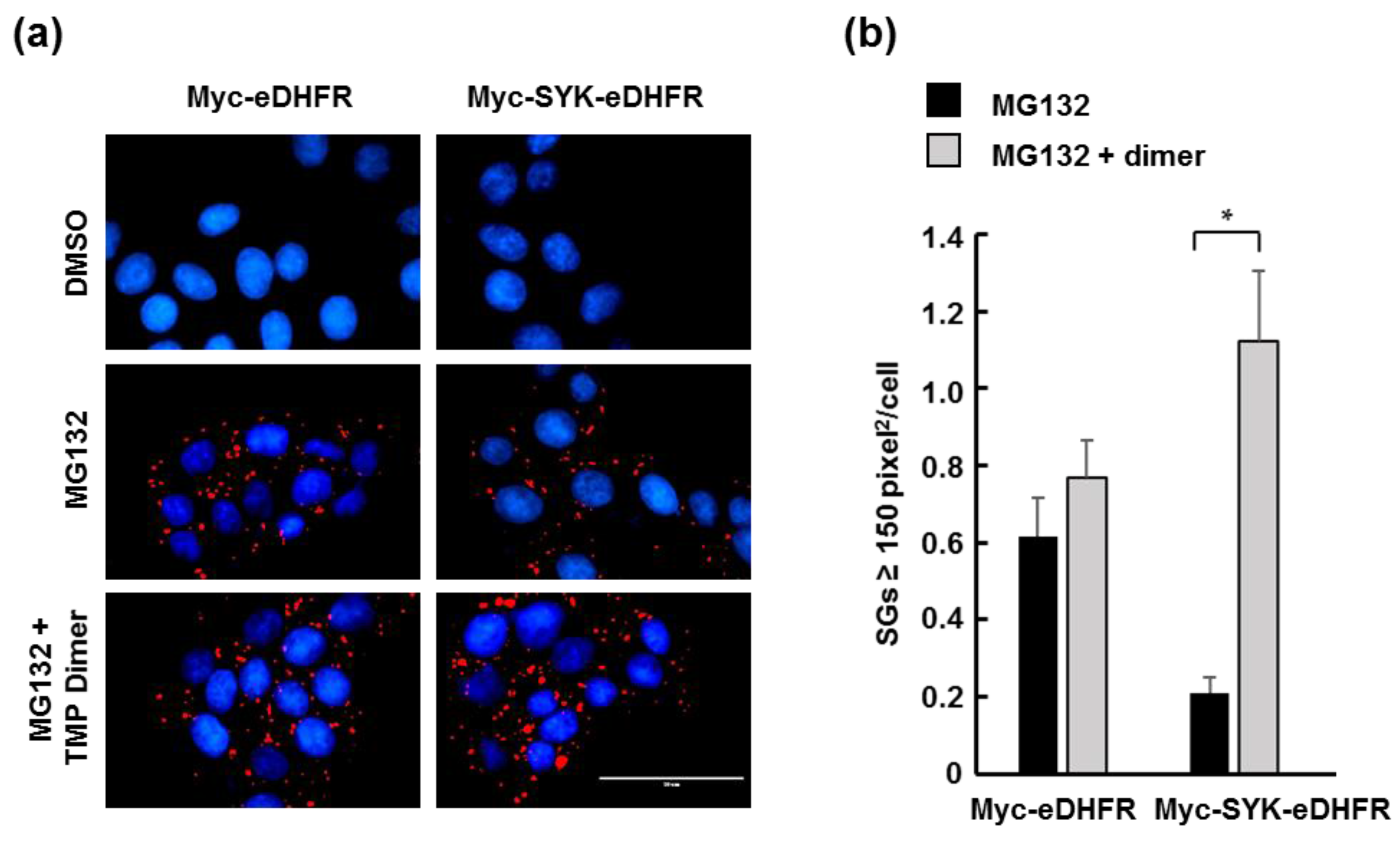 Antibodies 06 00023 g003