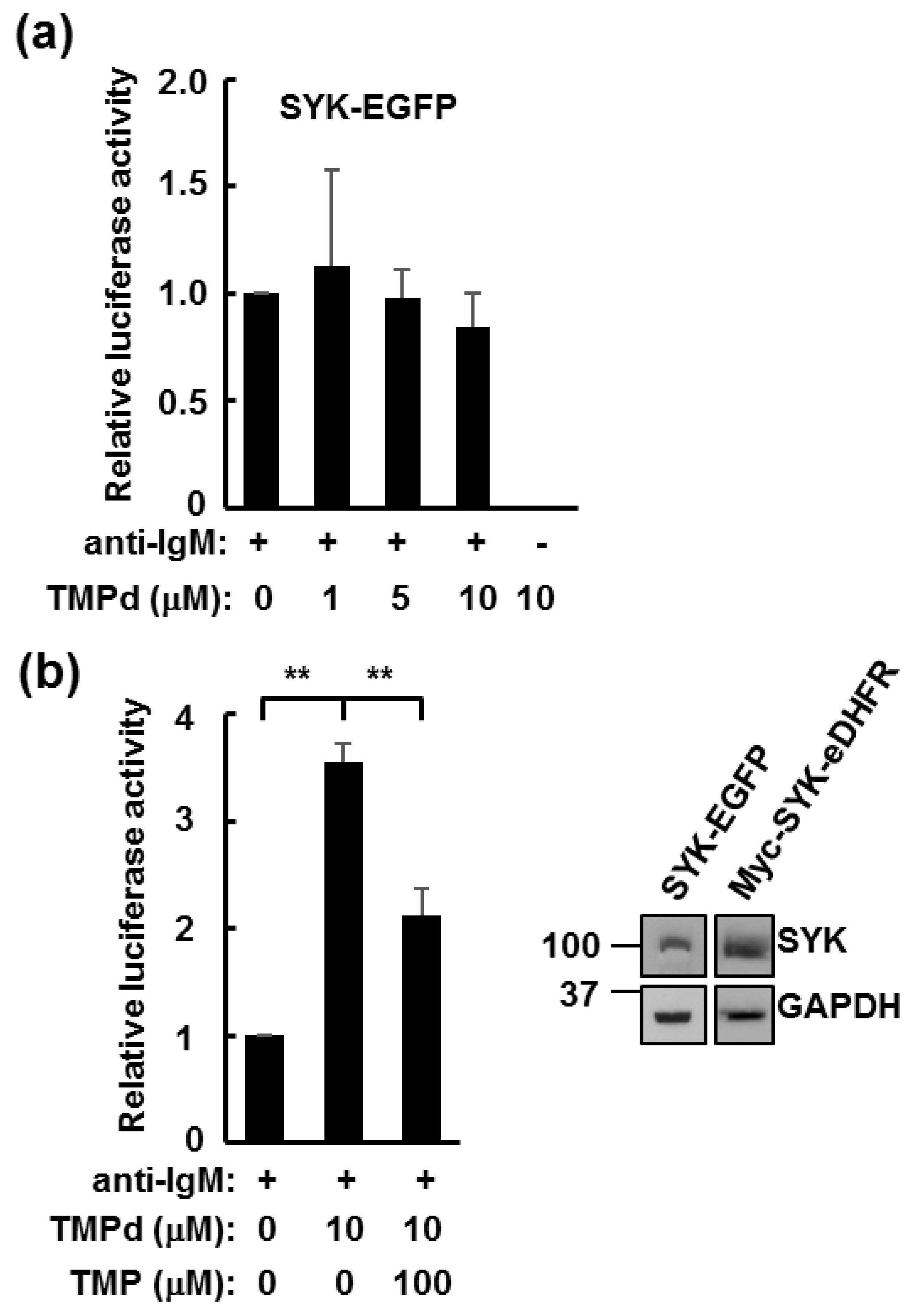 Antibodies 06 00023 g006