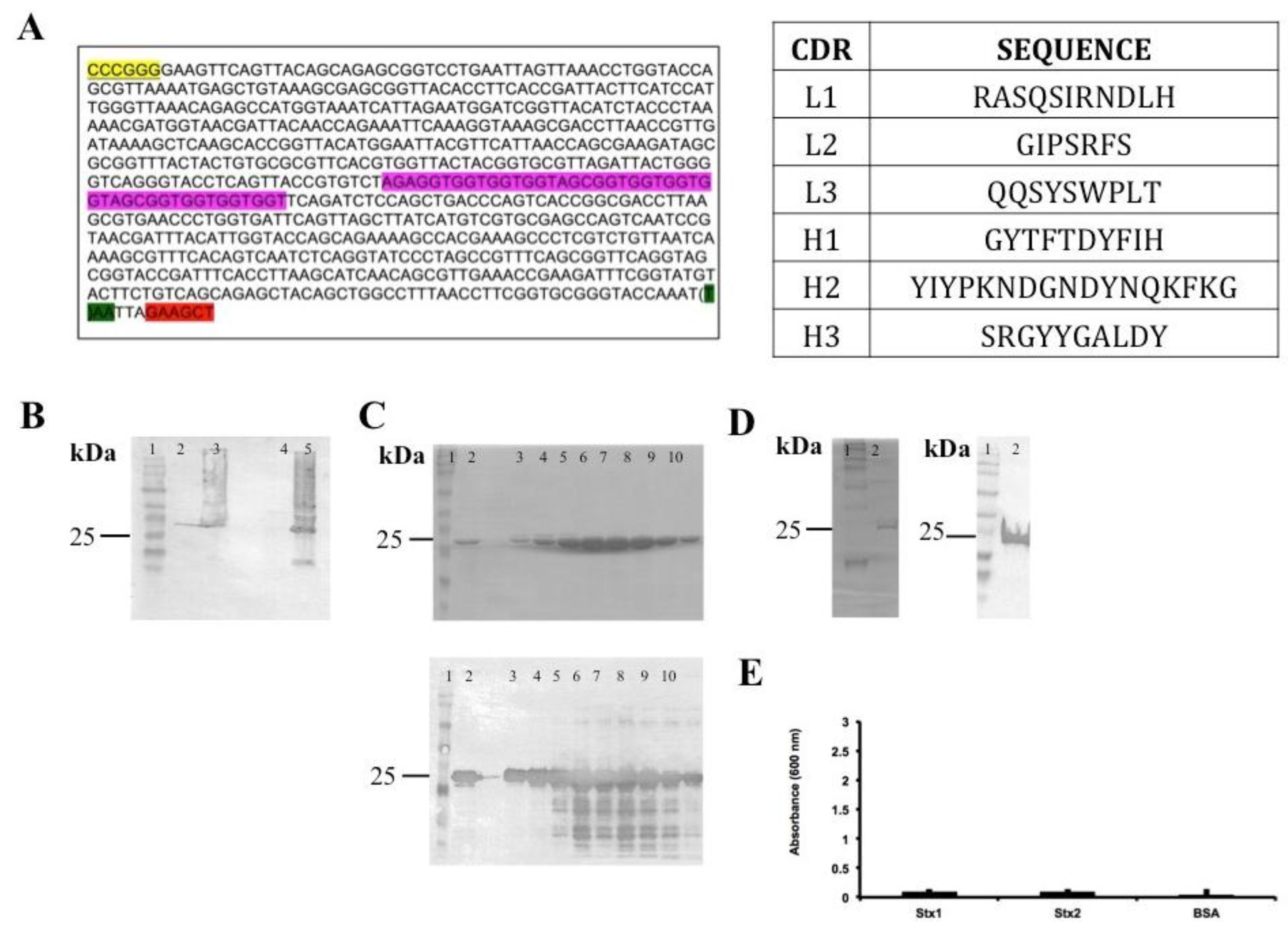 Antibodies 07 00009 g001 Antibodies 07 00009 g001