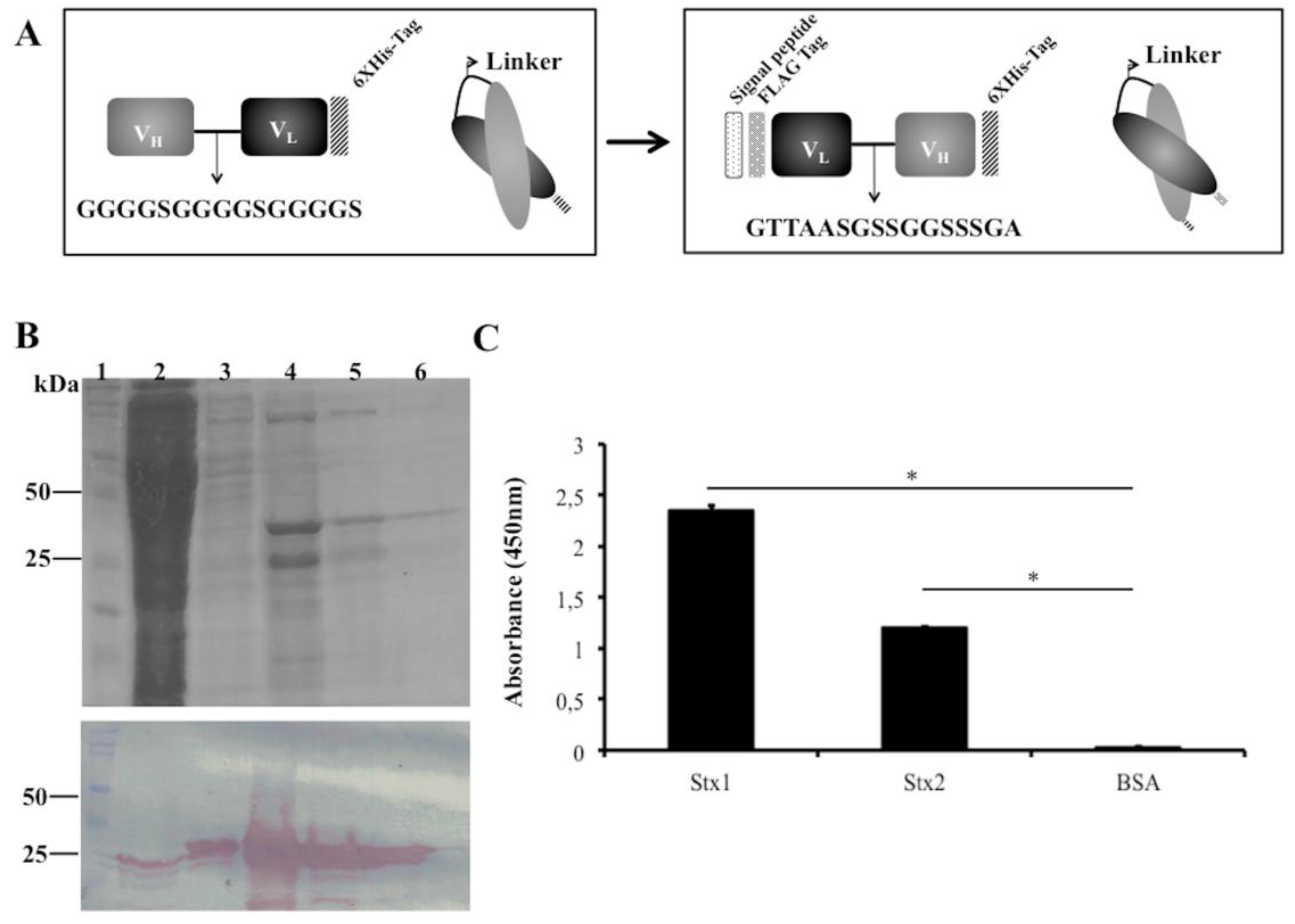 Antibodies 07 00009 g002 Antibodies 07 00009 g002