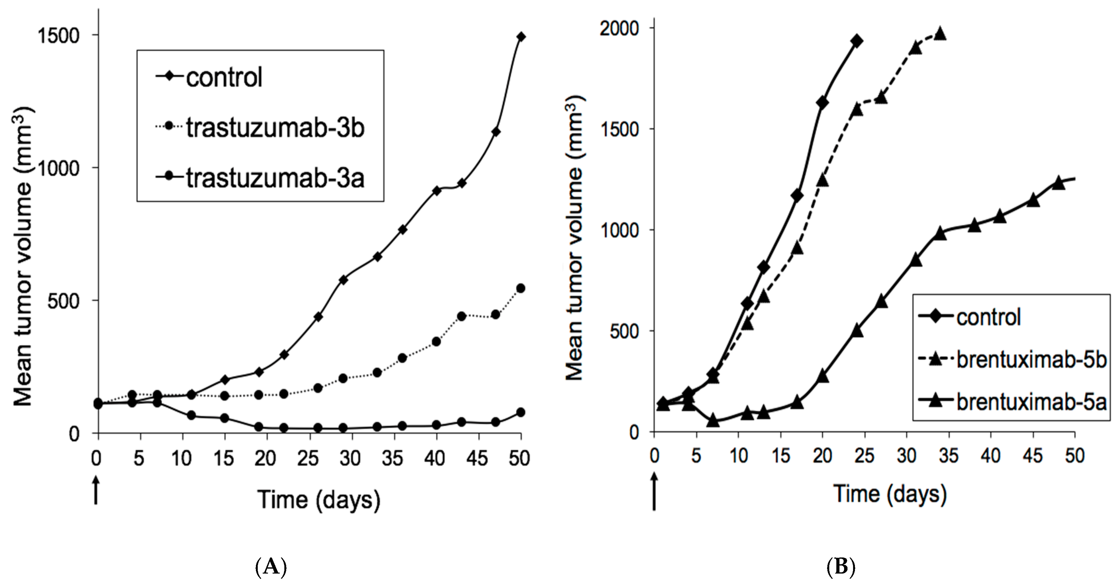 Antibodies 07 00012 g003 550