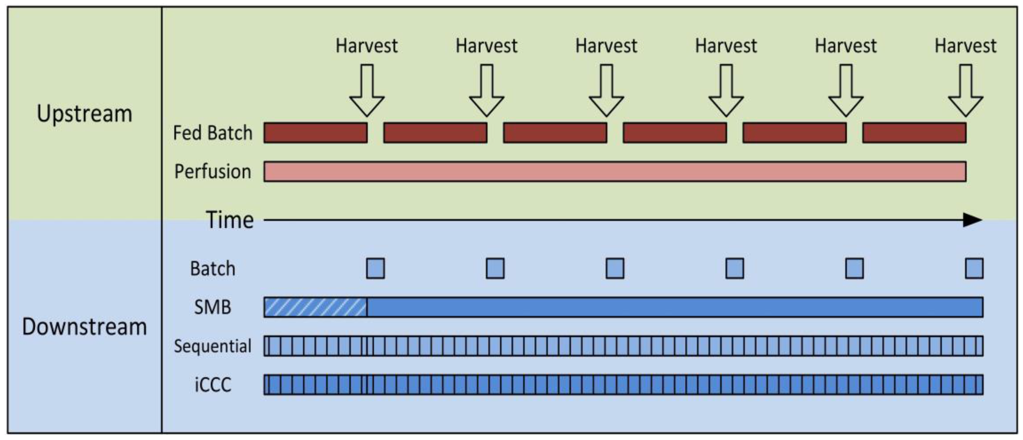 Antibodies 07 00013 g001