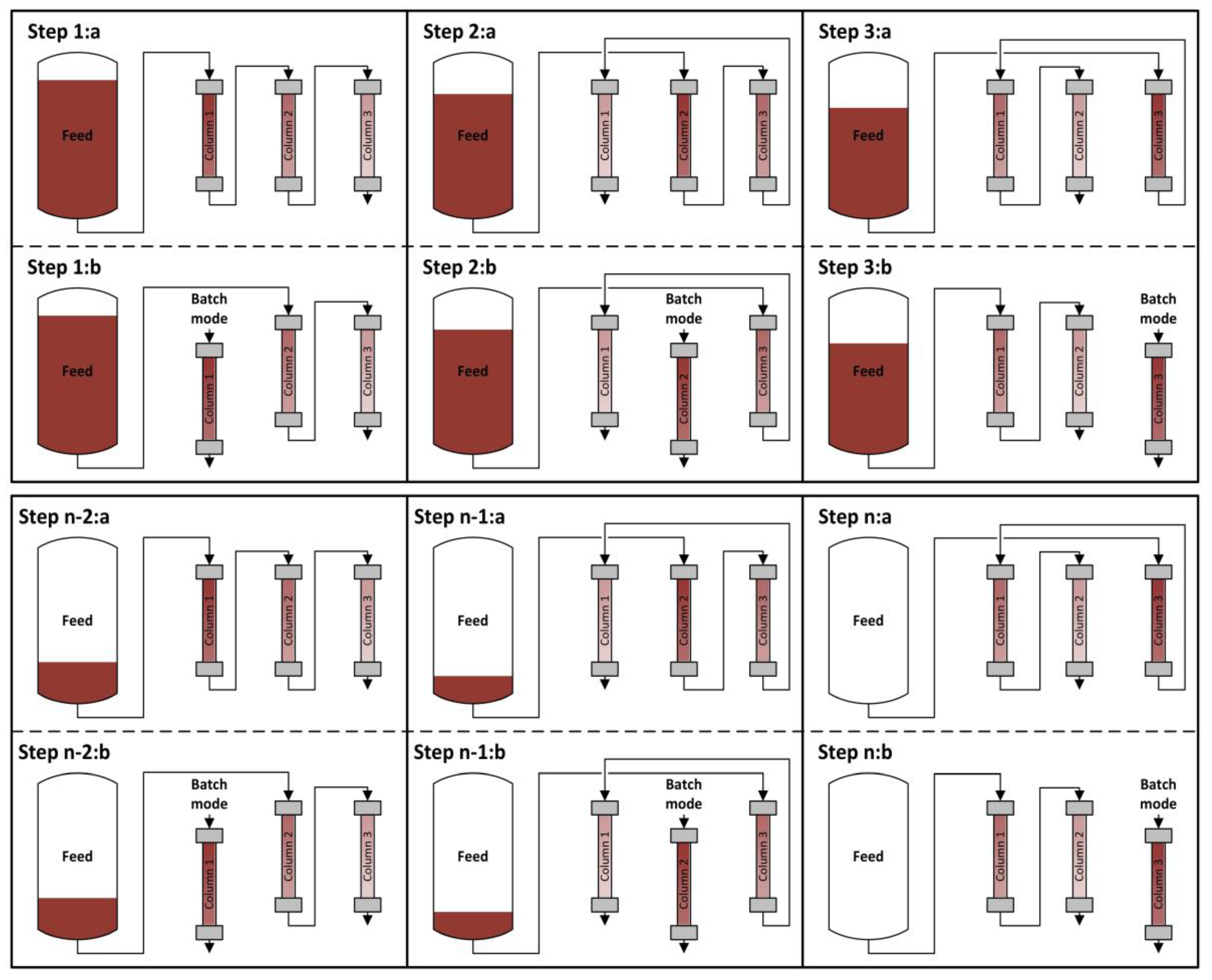 Antibodies 07 00013 g002