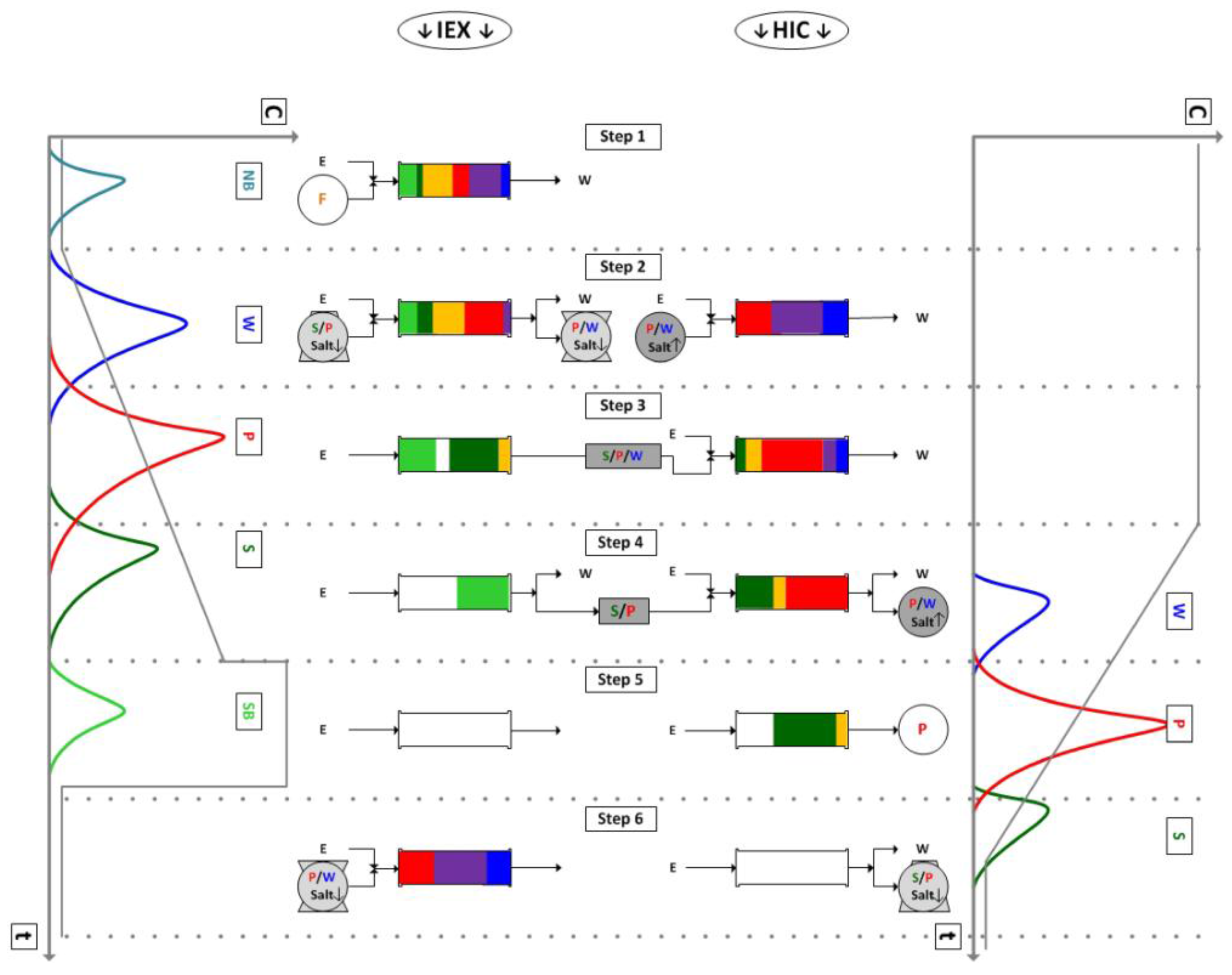 Antibodies 07 00013 g004