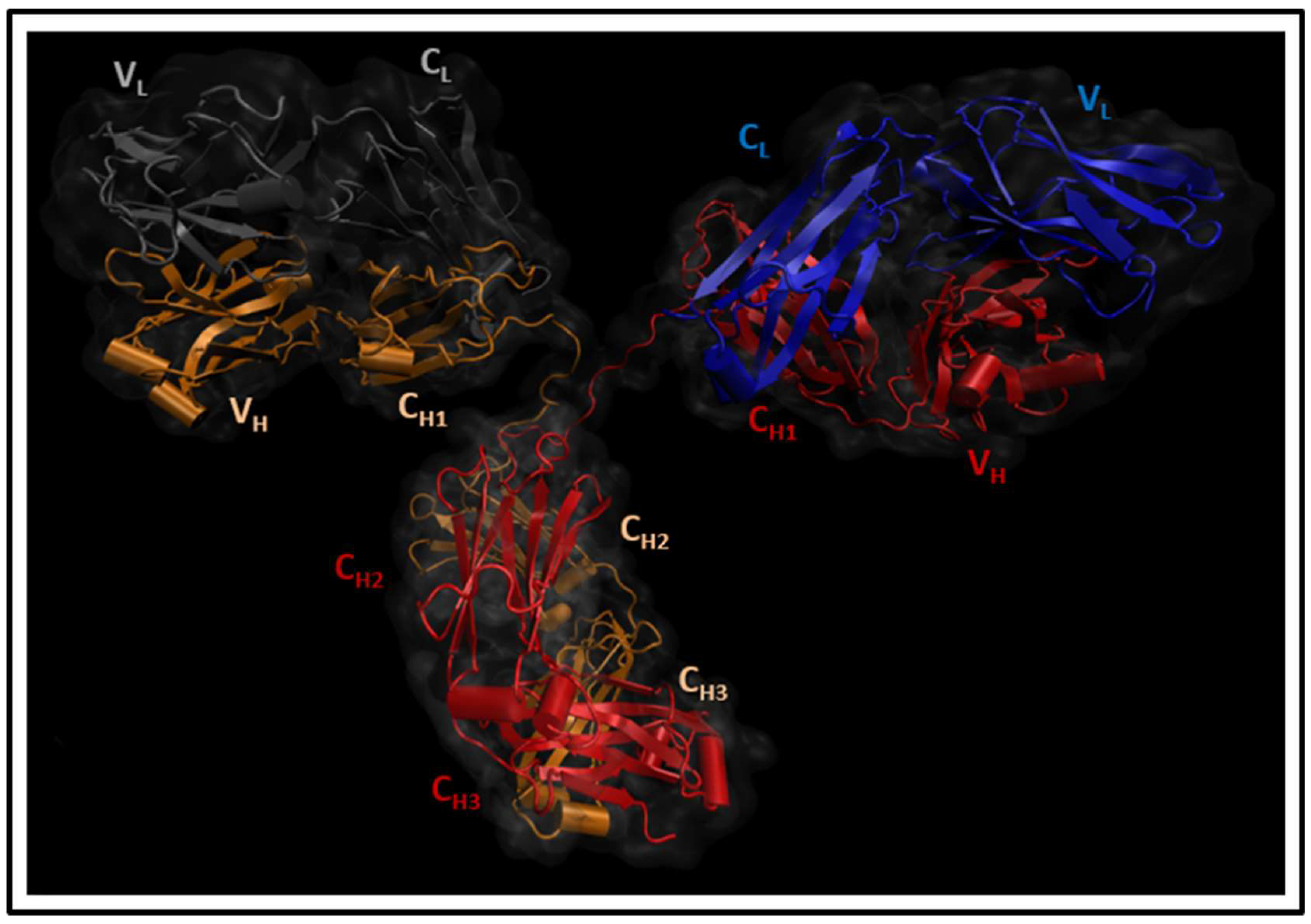 Antibodies 07 00021 g001