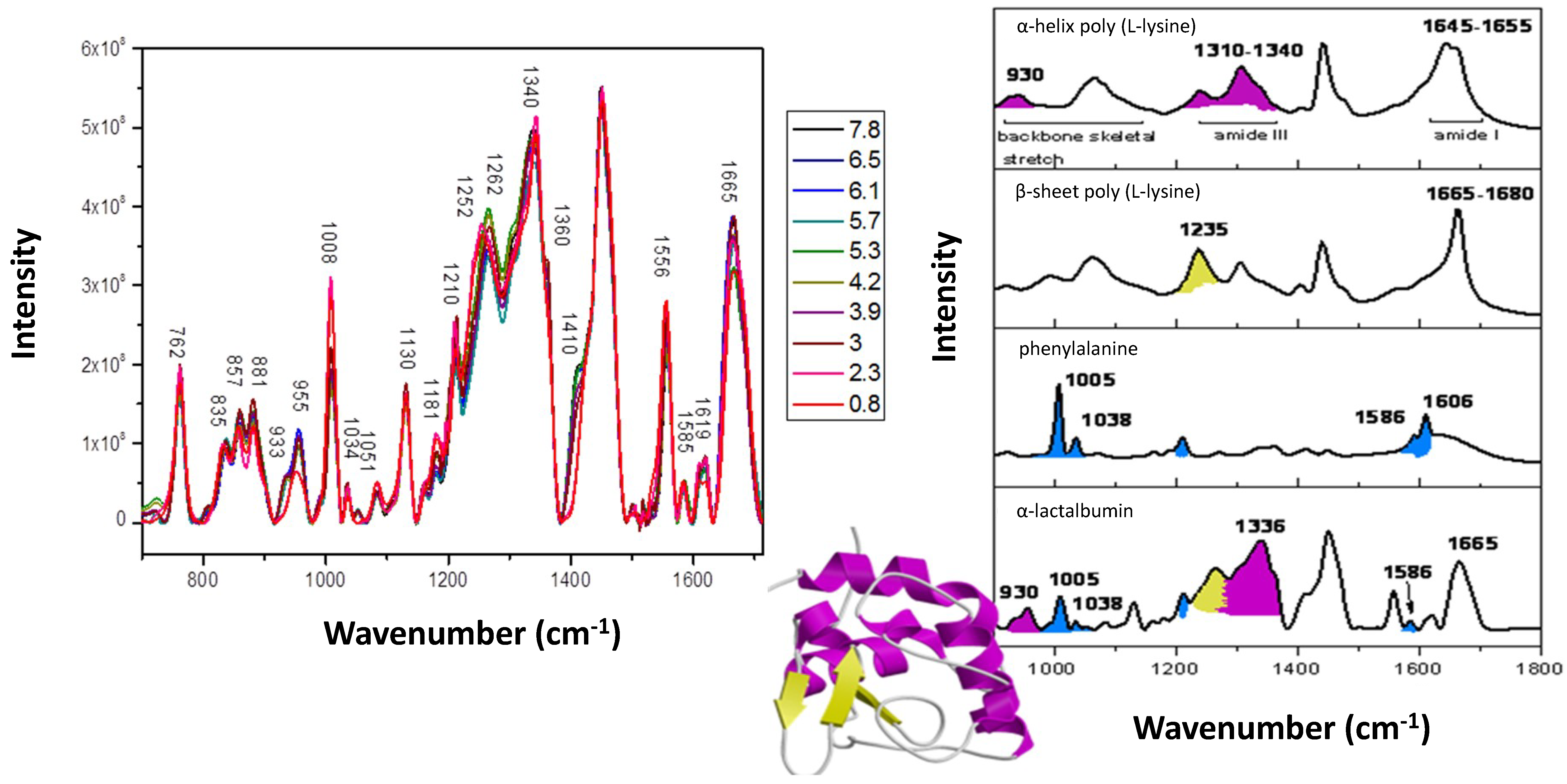 Antibodies 07 00024 g003 Antibodies 07 00024 g003
