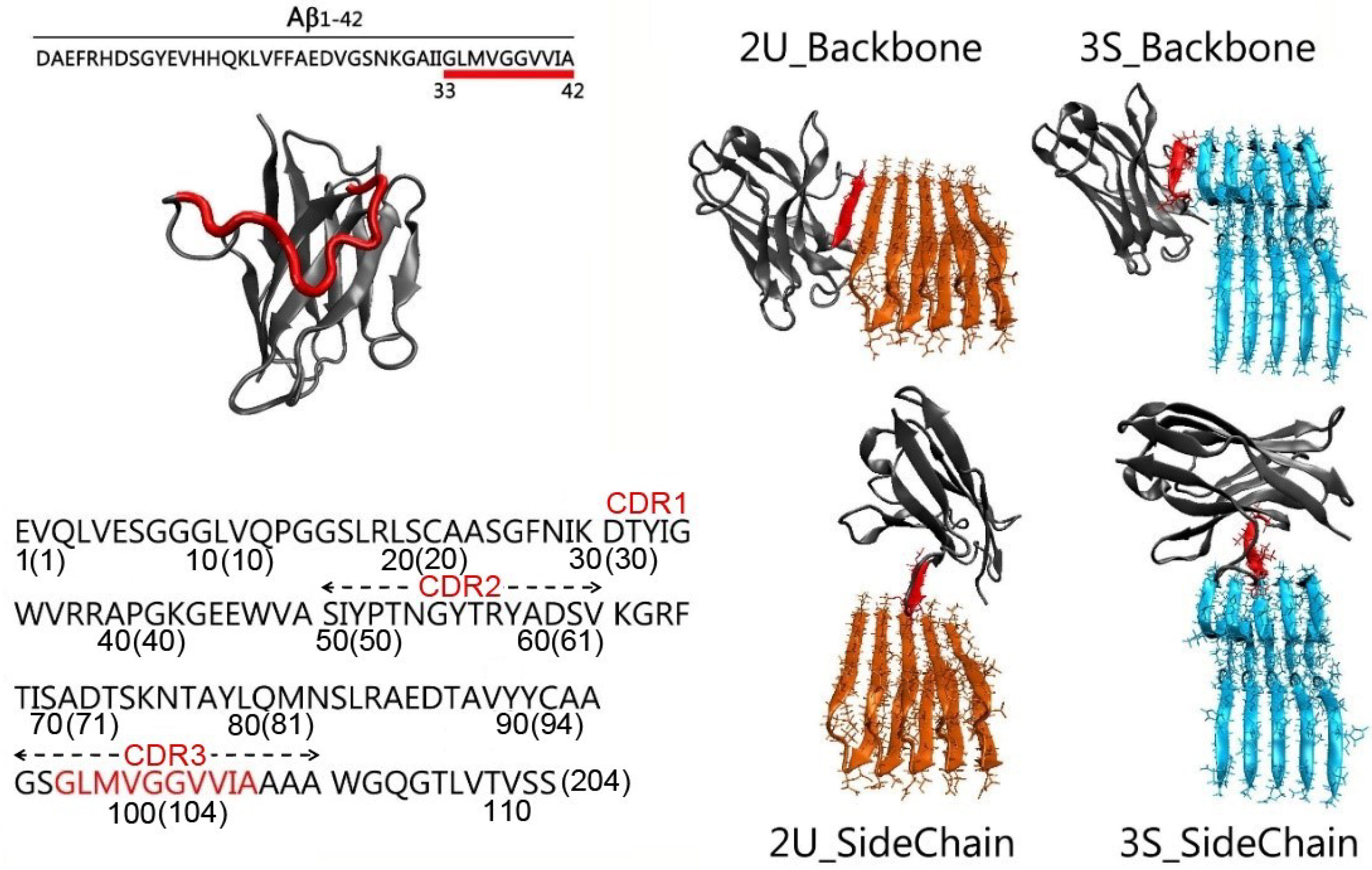 Antibodies 07 00025 g001
