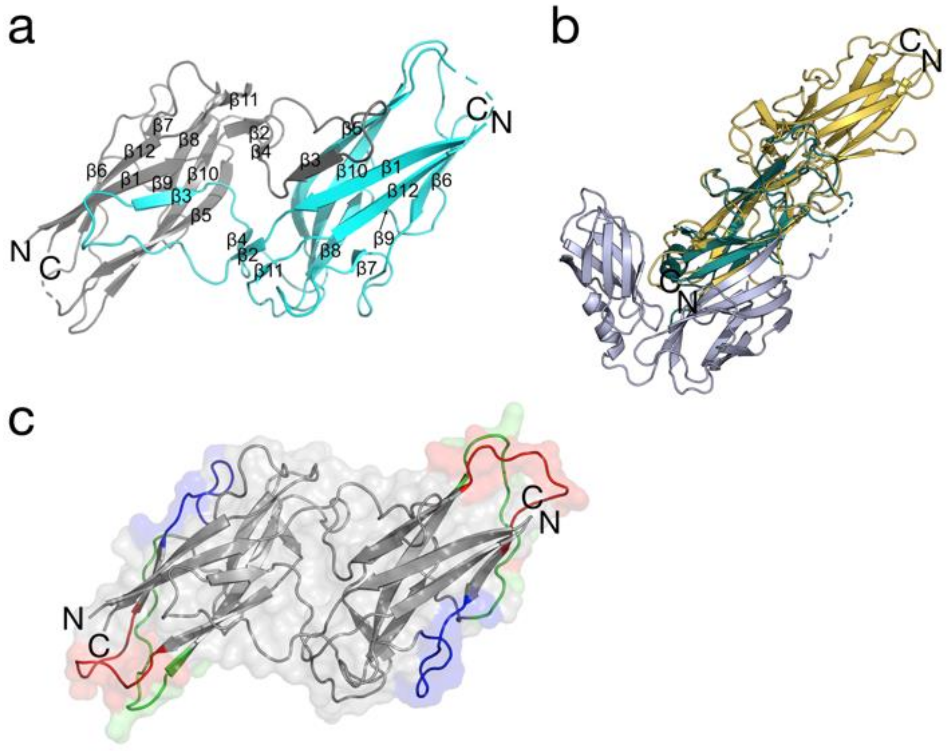 Antibodies 07 00026 g001 Antibodies 07 00026 g001