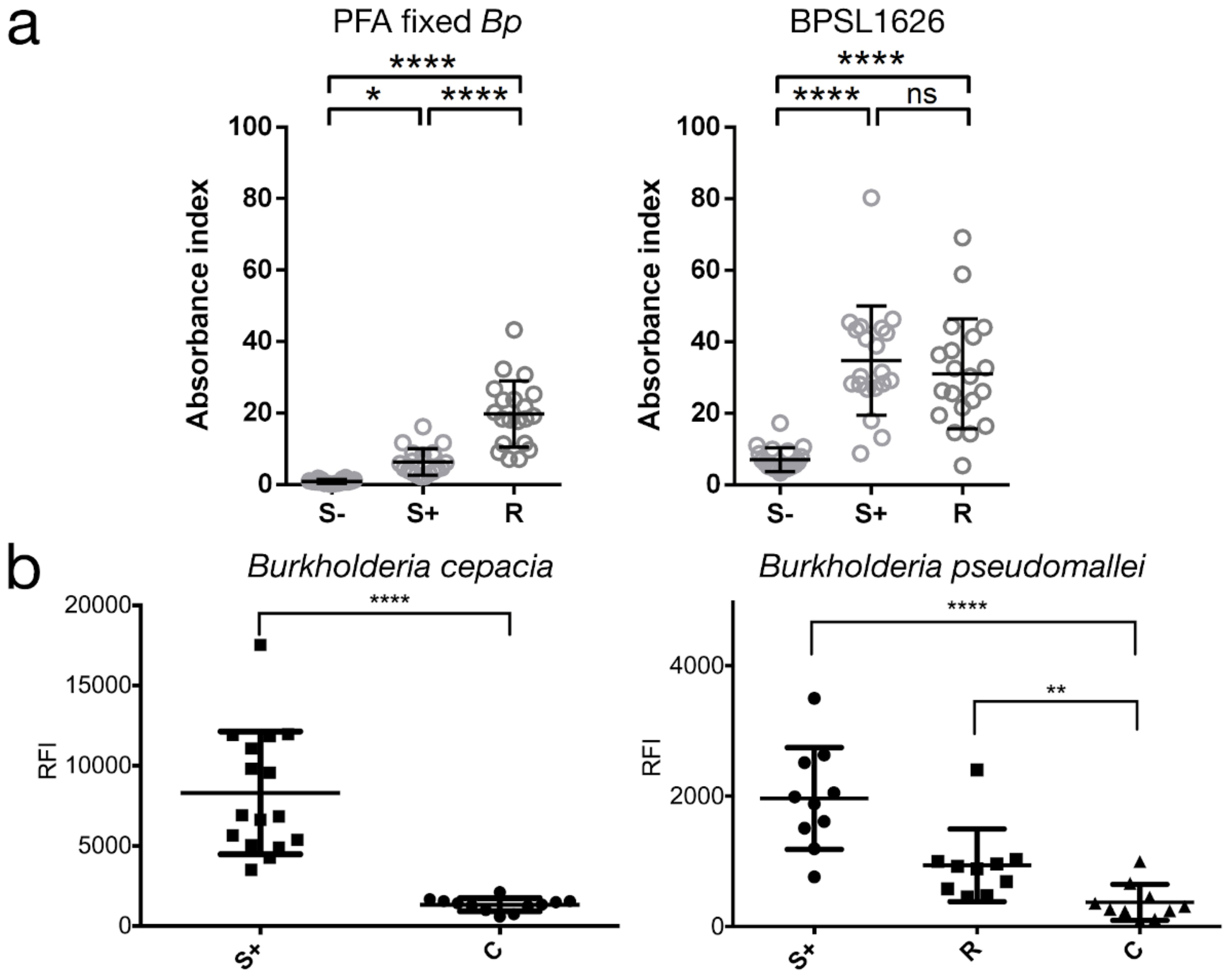 Antibodies 07 00026 g003 Antibodies 07 00026 g003