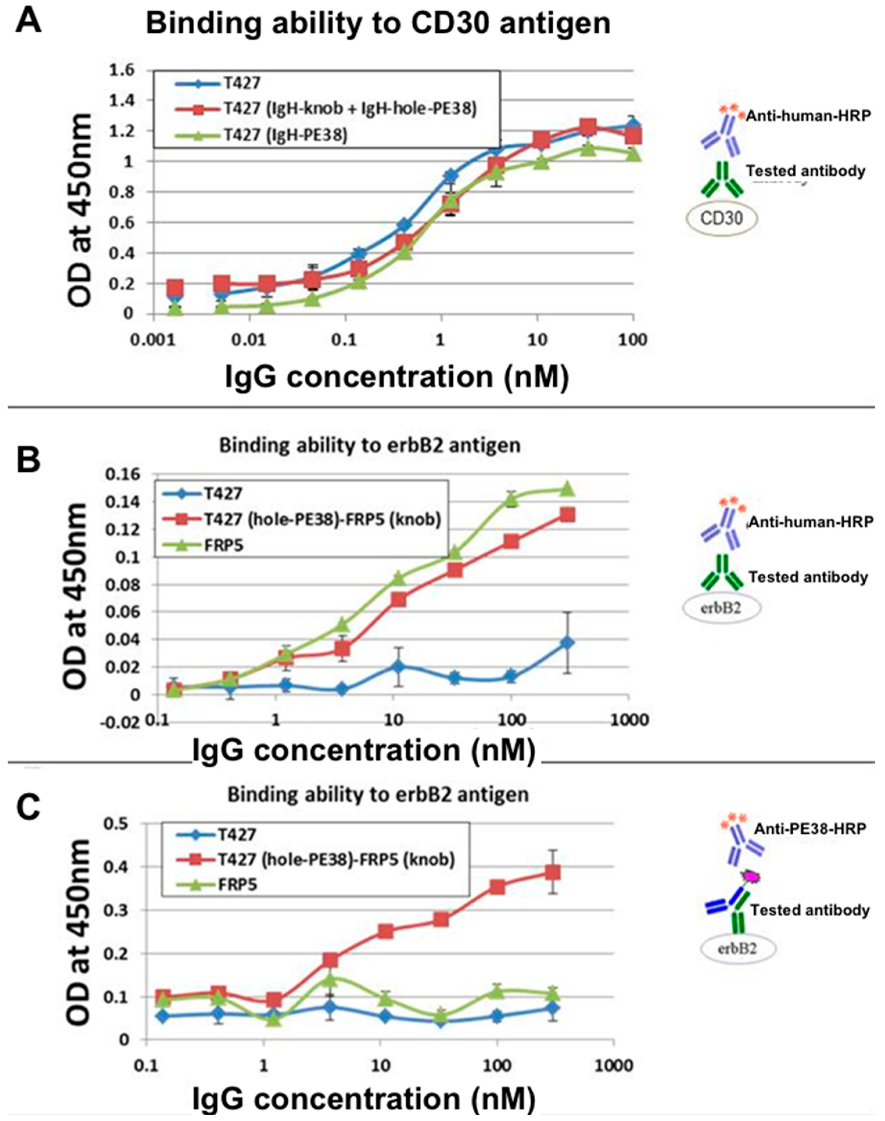 Antibodies 07 00027 g004 Antibodies 07 00027 g004