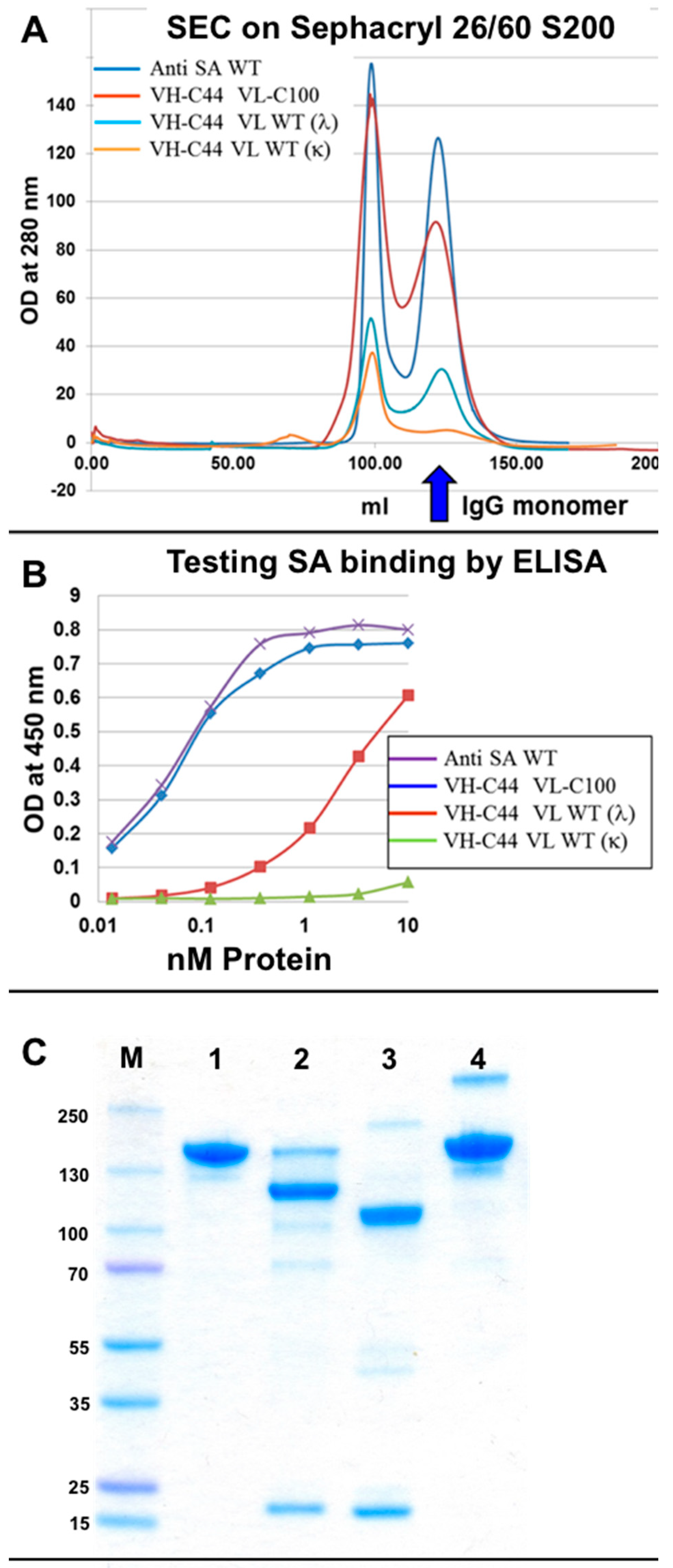 Antibodies 07 00027 g006 Antibodies 07 00027 g006