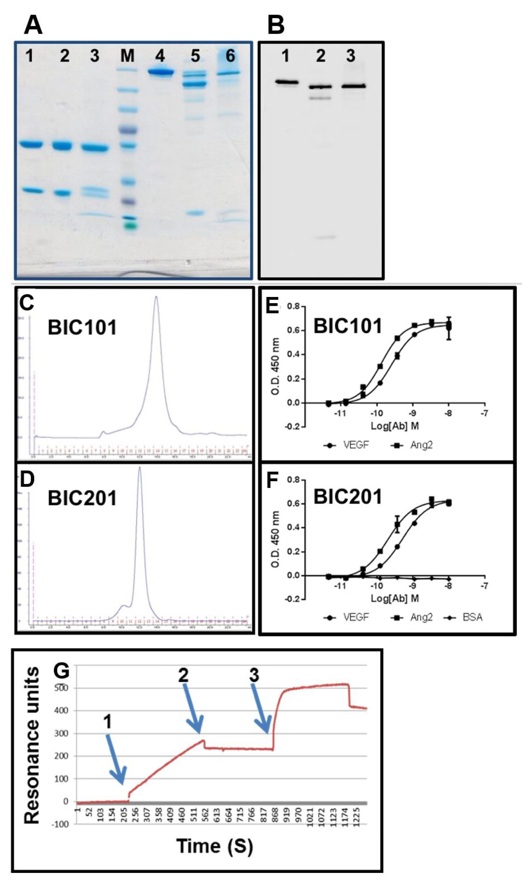 Antibodies 07 00027 g012 Antibodies 07 00027 g012
